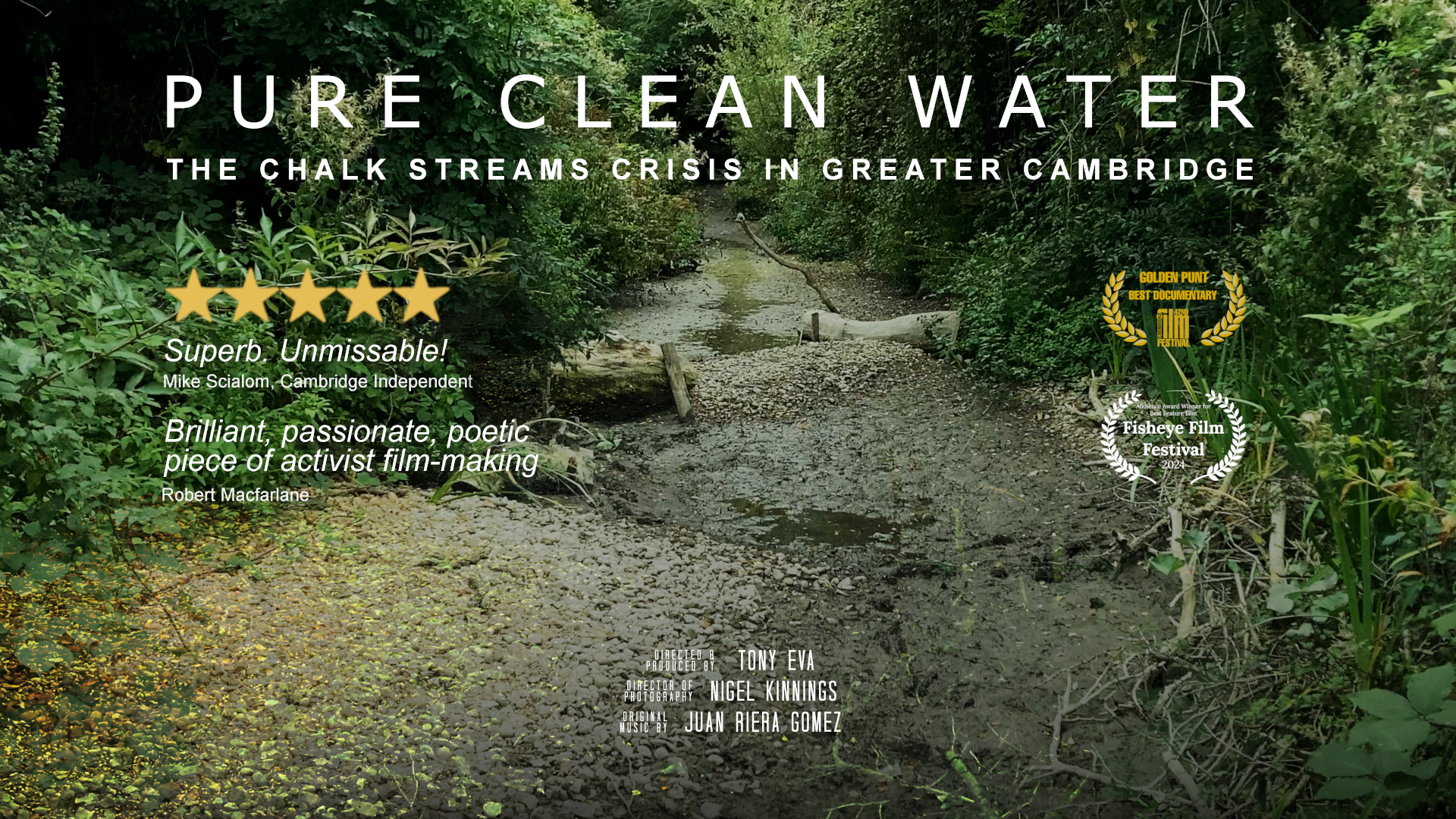 Promotional poster for "Pure Clean Water", a film about the chalk streams crisis in Greater Cambridge. Directed by Tony Eva, "Pure Clean Water" won audience prizes for best documentary at Cambridge and Fish Eye film festivals in 2024