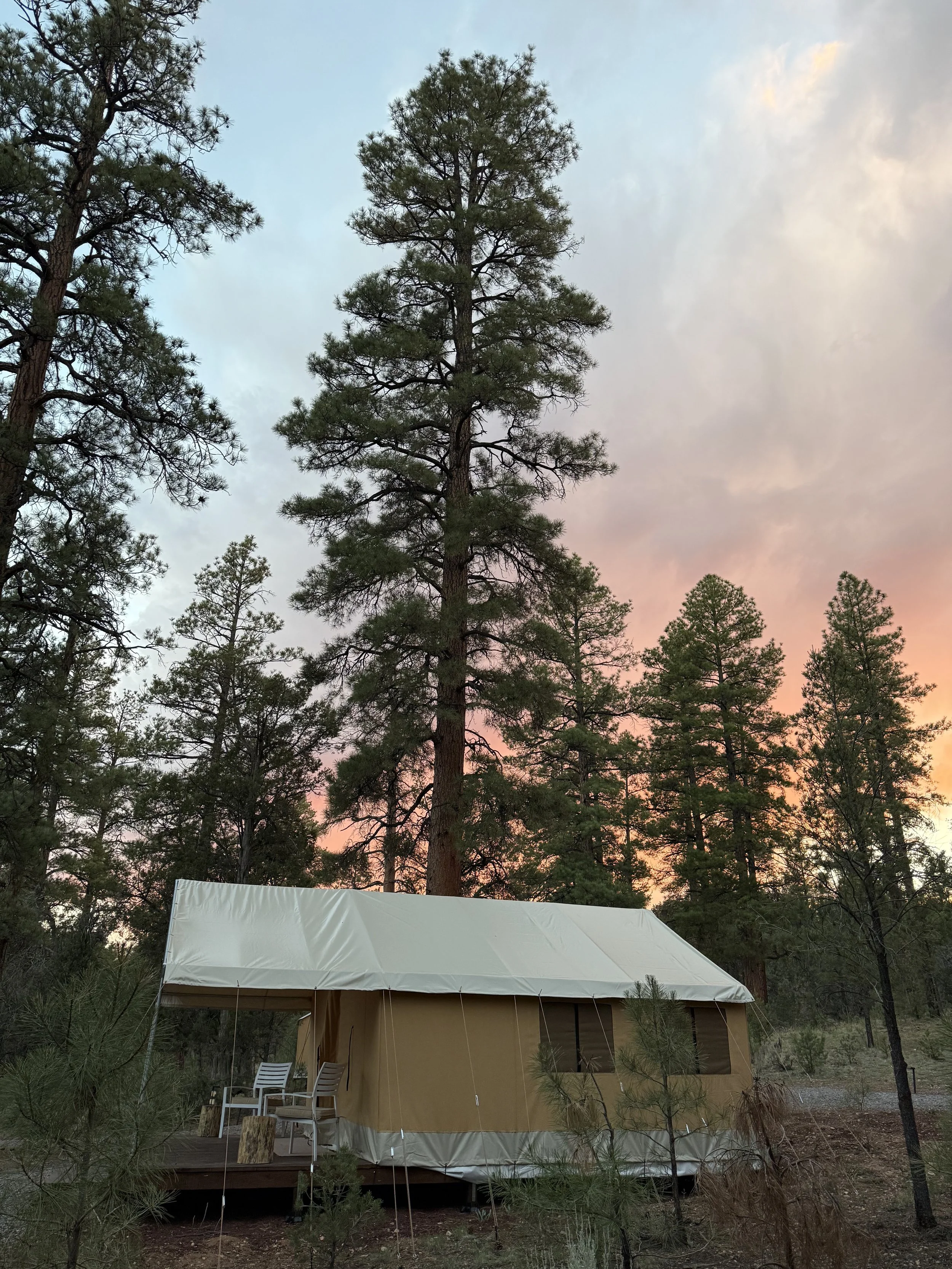 Your Guide to Grand Canyon Sunsets and Where to Watch Them