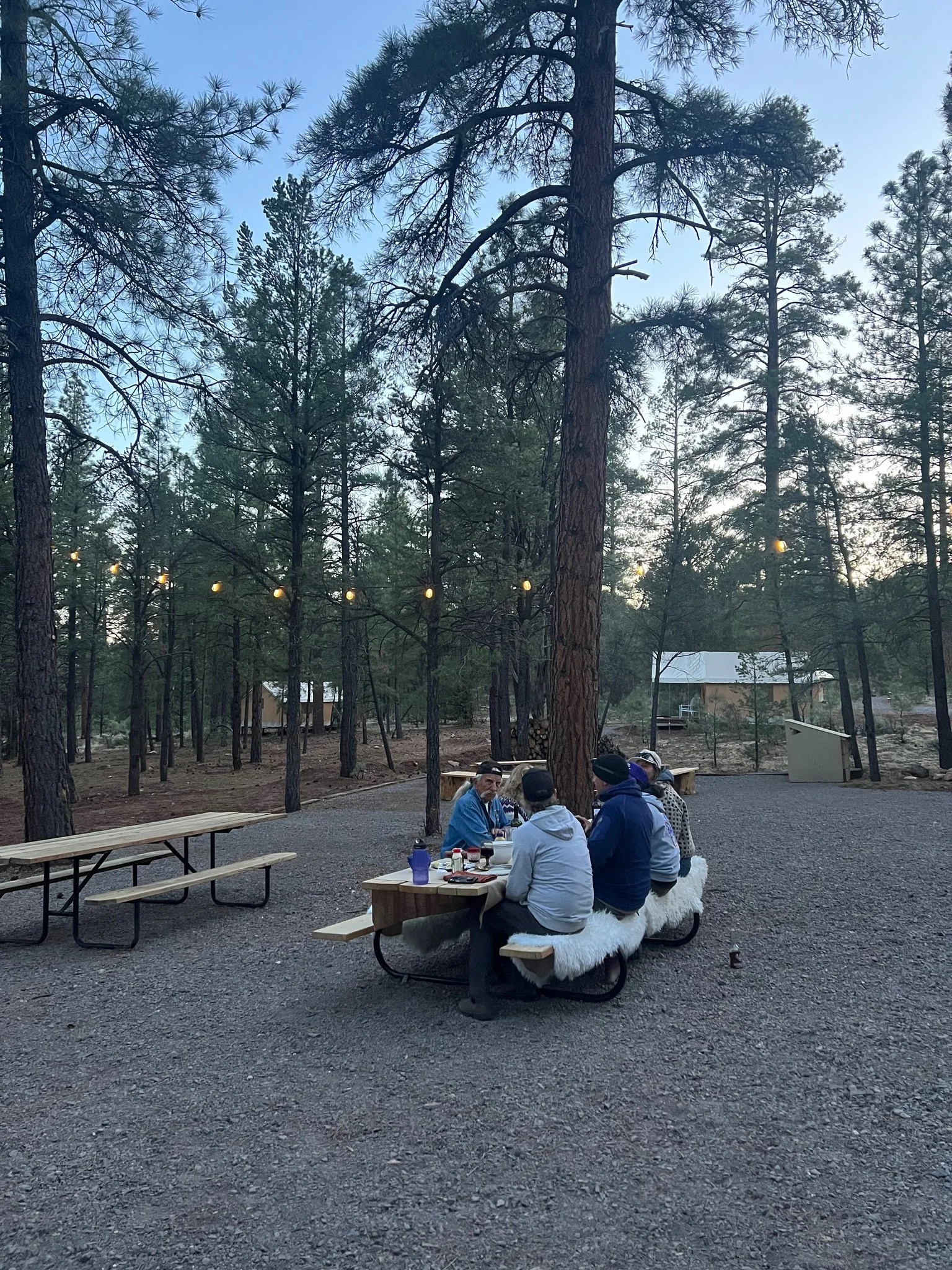Friends-dining-picnic-table-grand-canyon-glamping.jpeg