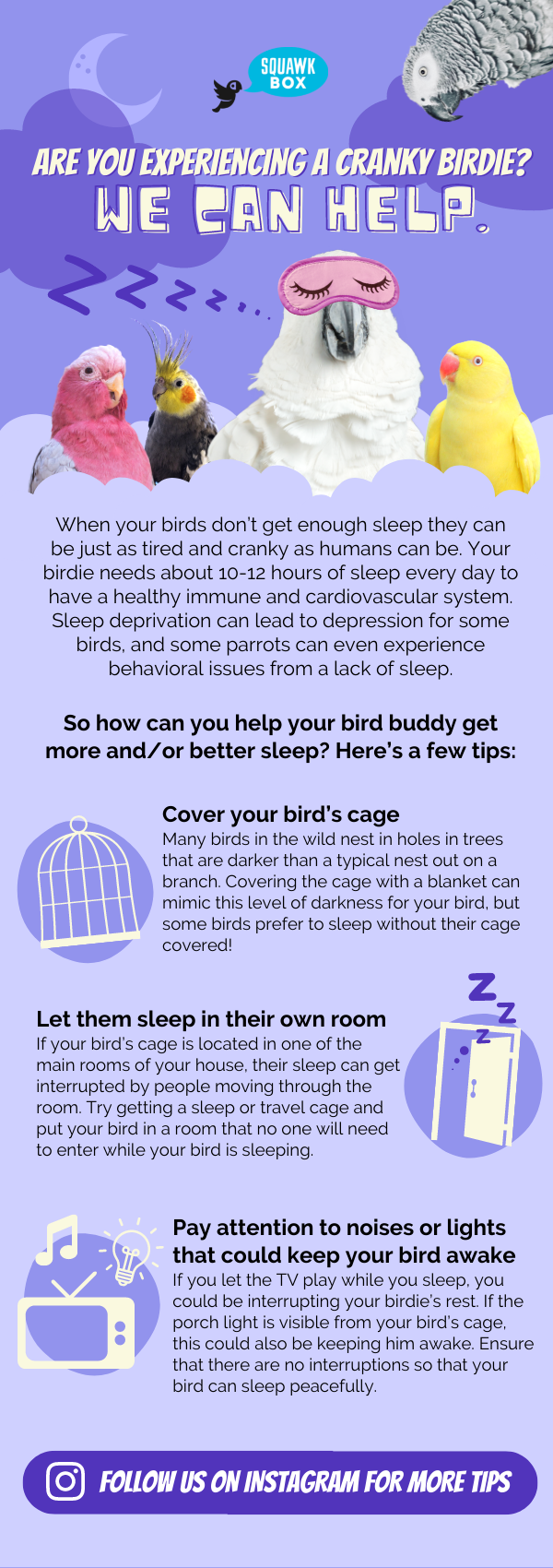Squawk Box Birdie Sleep Tips.png