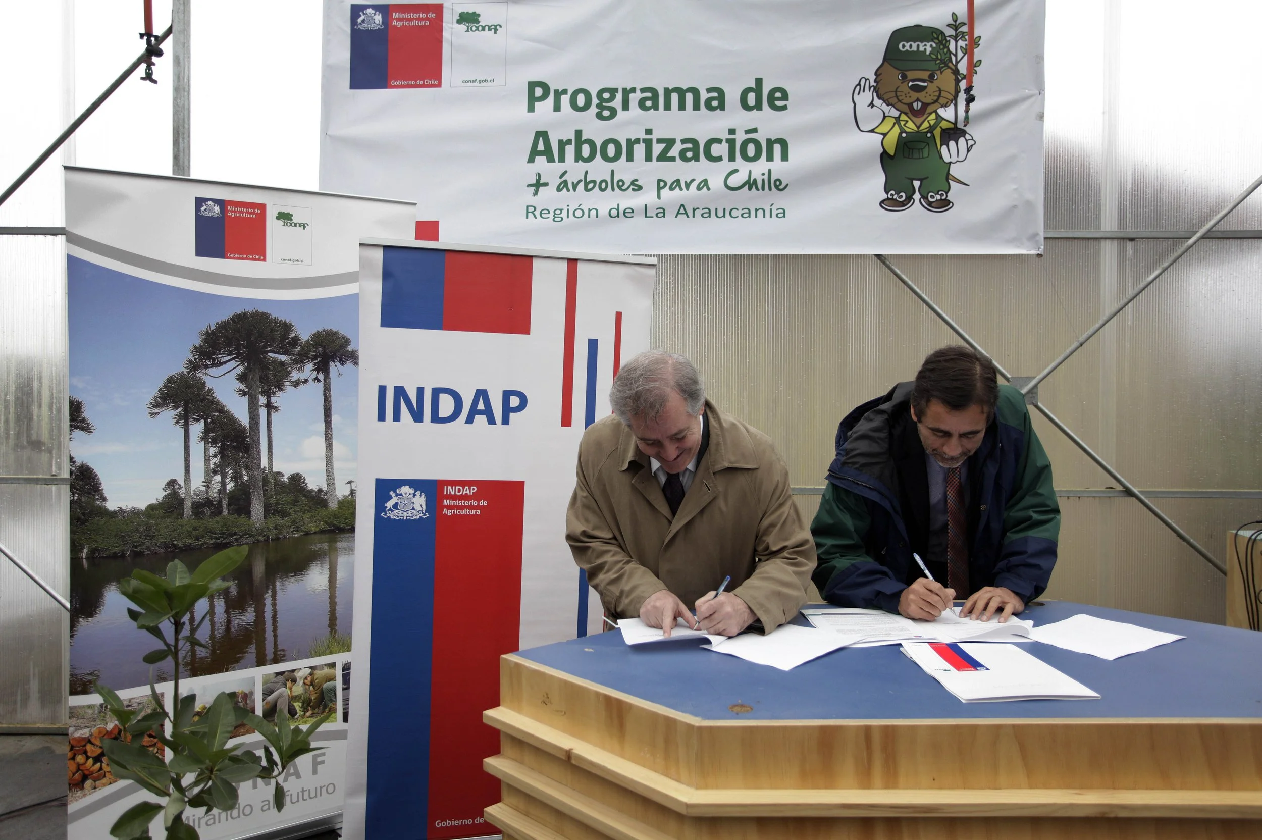 Gobernanza multinivel en Chile: cómo se coordinan el Estado central, las regiones y los municipios