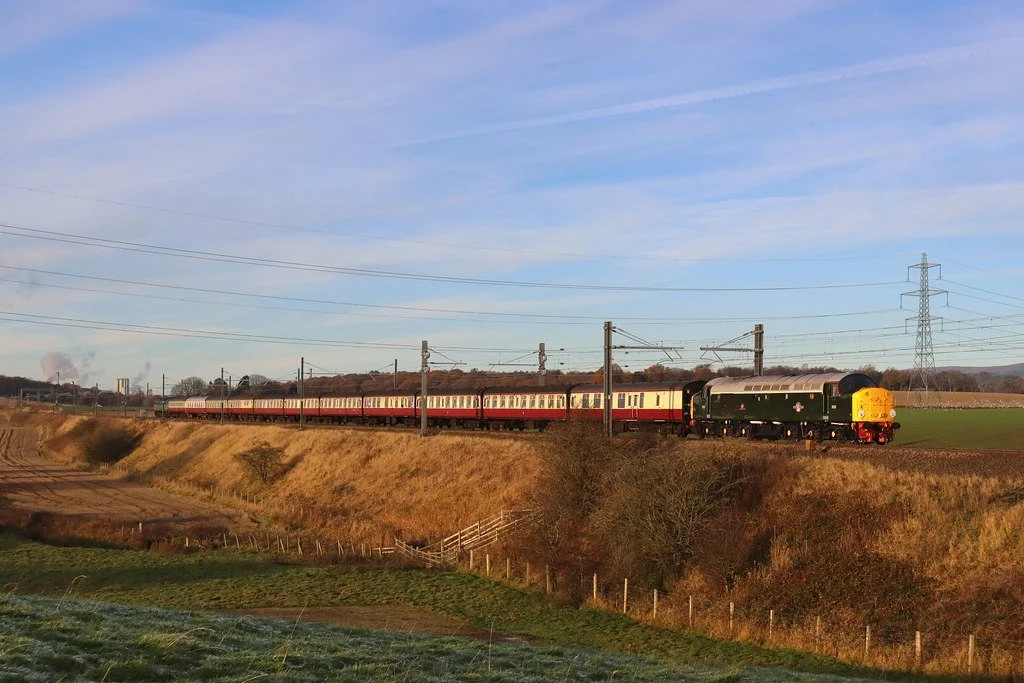 The Yorvik Discovery 