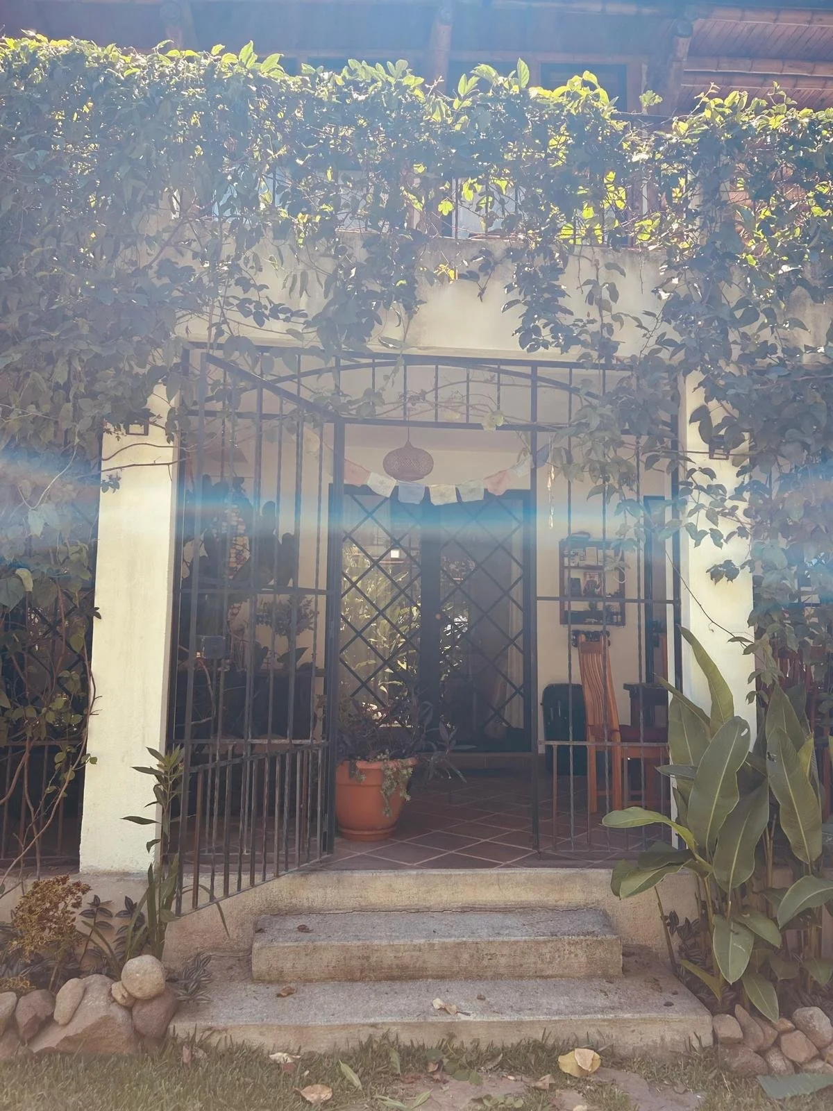 Front view of a house with a small porch, potted plants, metal railings, steps leading up to the door, and lush greenery overhead, sun rays creating a hazy effect.