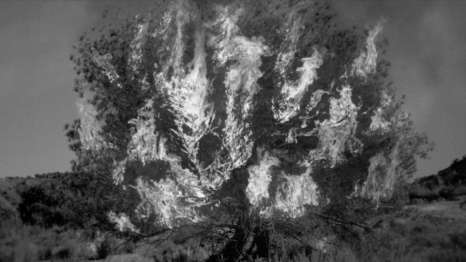 DUNYA_WEB_05.gif