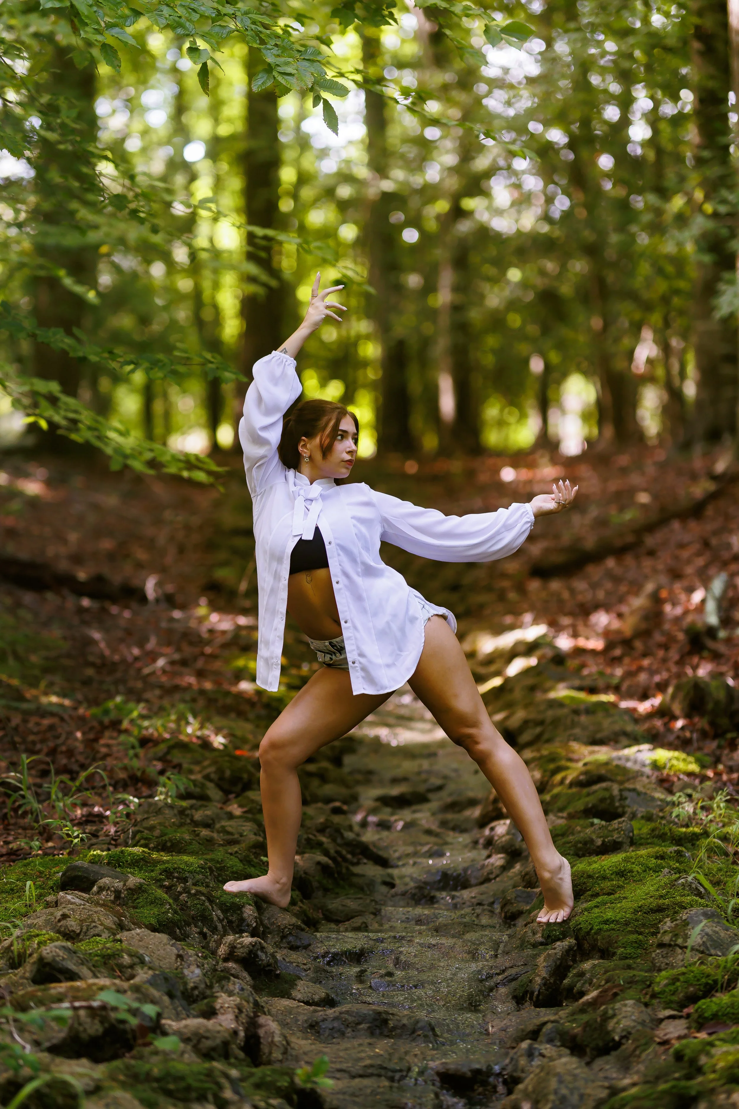 William and Mary Hidden Trail- A secret path leading to an old amphitheater and trail with stone creek and lots of trees.