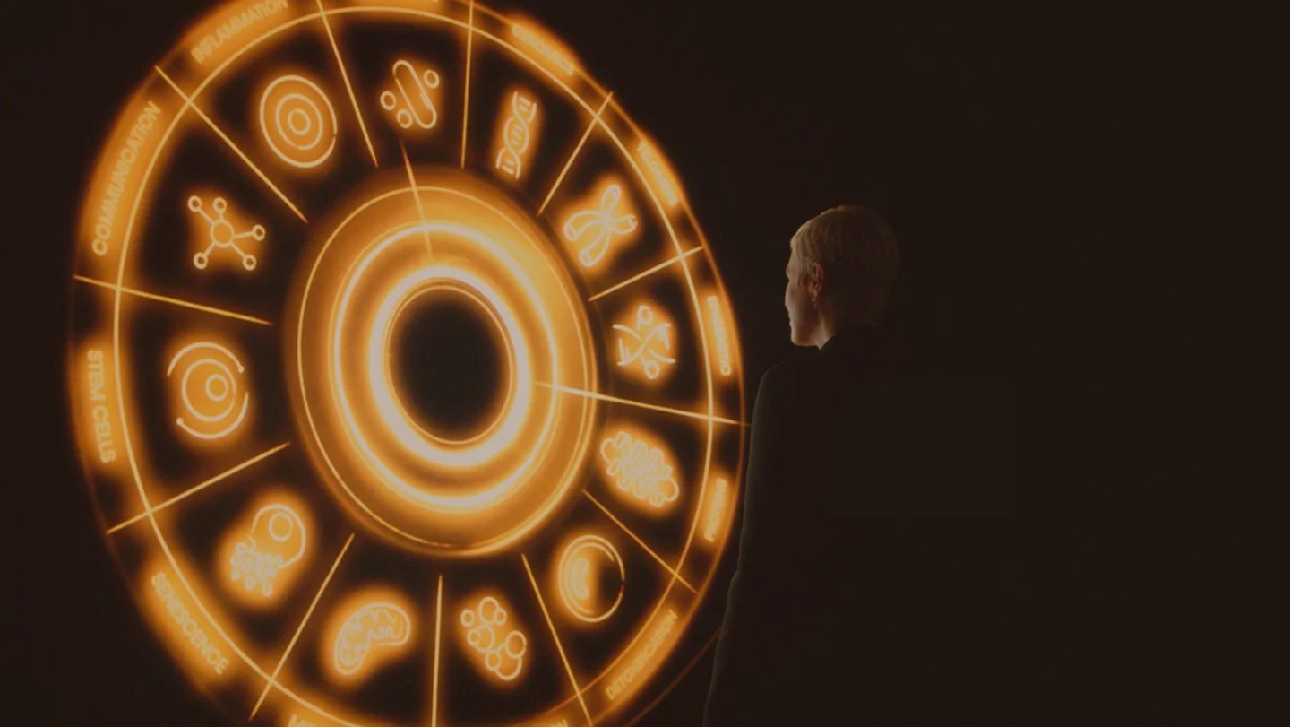 Extraits de notre dernière campagne pour @diorbeauty
Production: @carminproductions
Réalisateurs: @akatrestudio
Assistant réal: @madyybam
Directeur photo: @jeanbaptistevillechaize_dop
Steady cam: @teva_vasseur
Assistant camera: