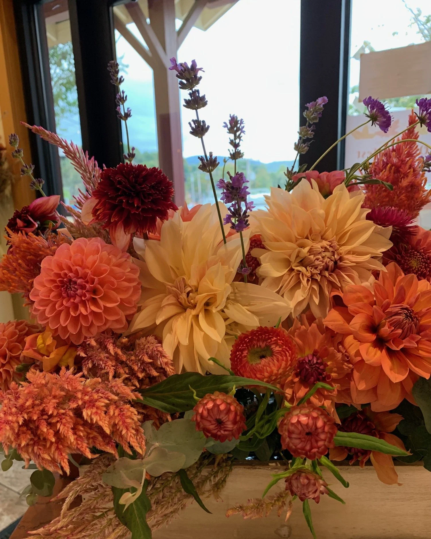 white wash flower box dahlias.jpeg