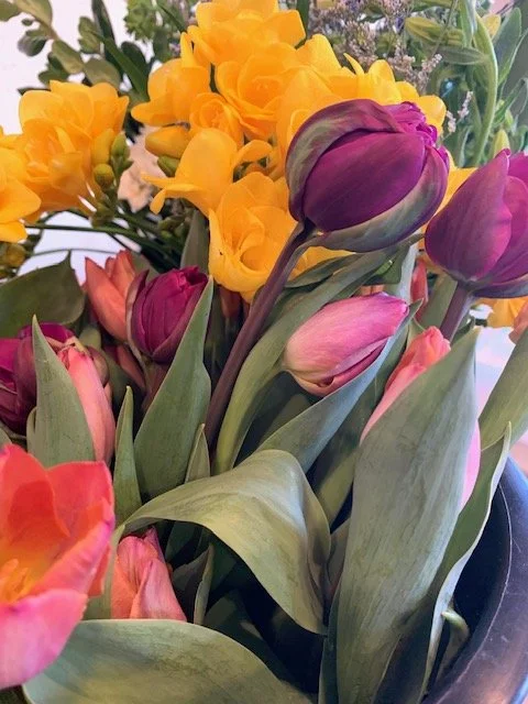 tulips in winter.jpg