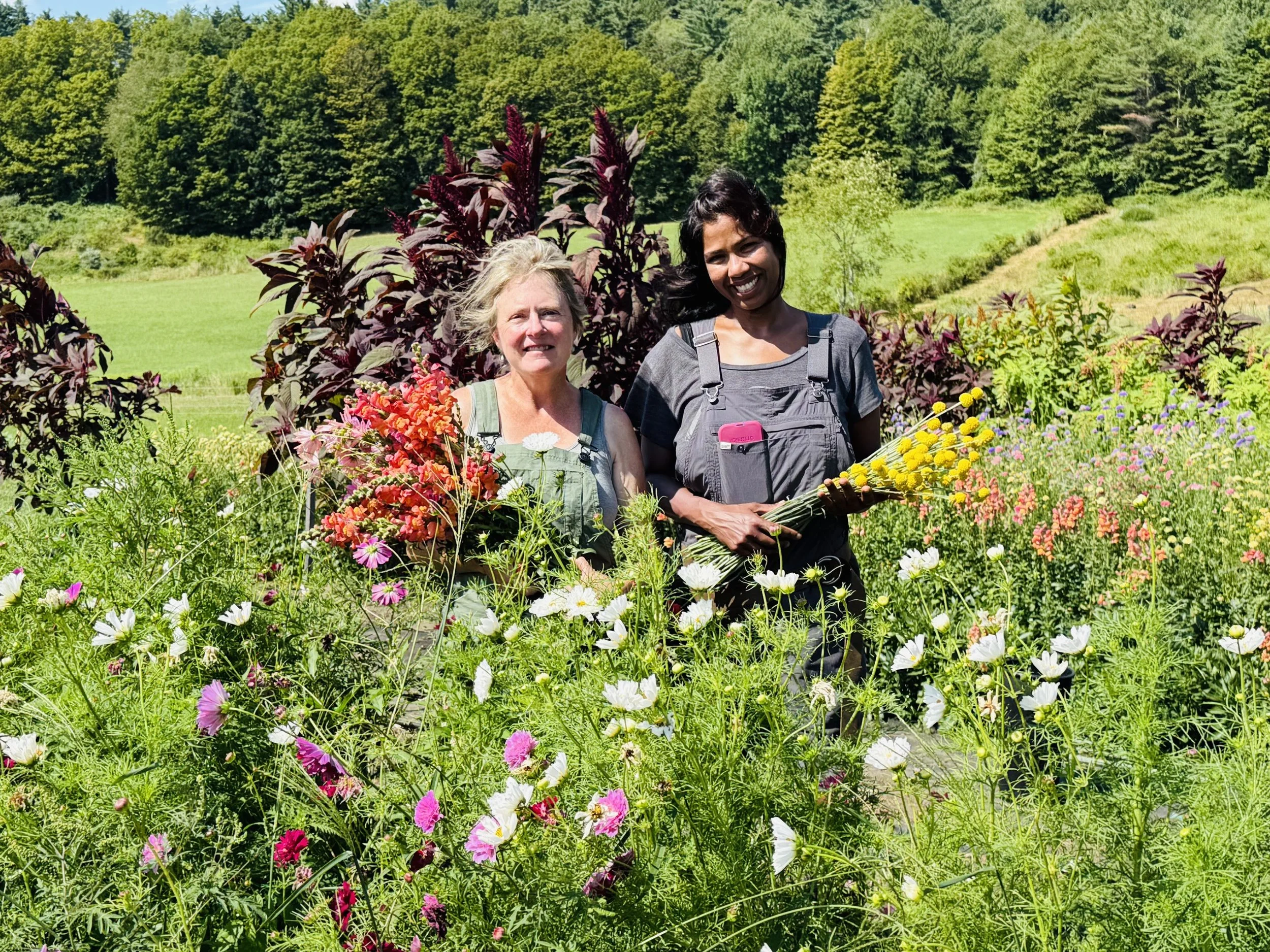 gathing blooms in the field Patten Hill Flower Farm.jpeg