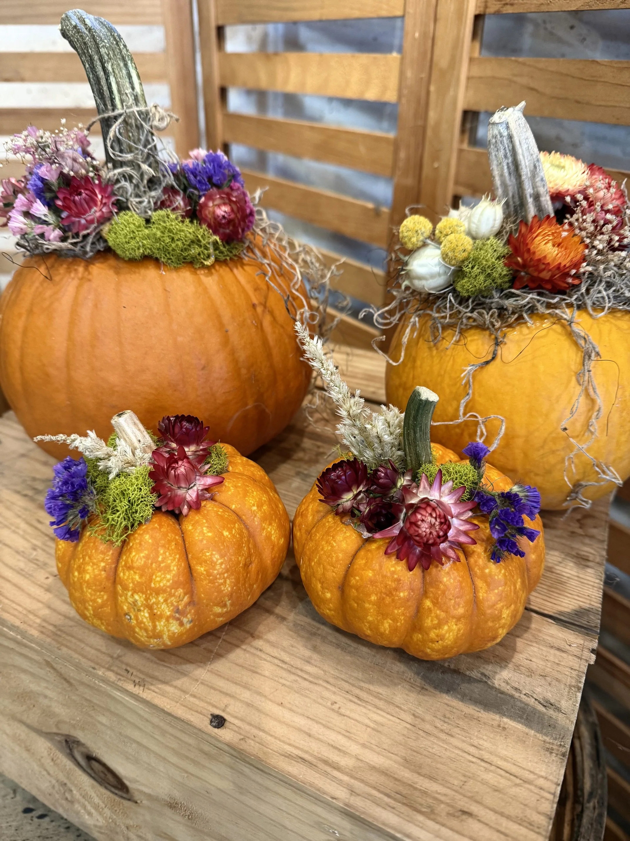 collection dried flower pumpkins.jpeg