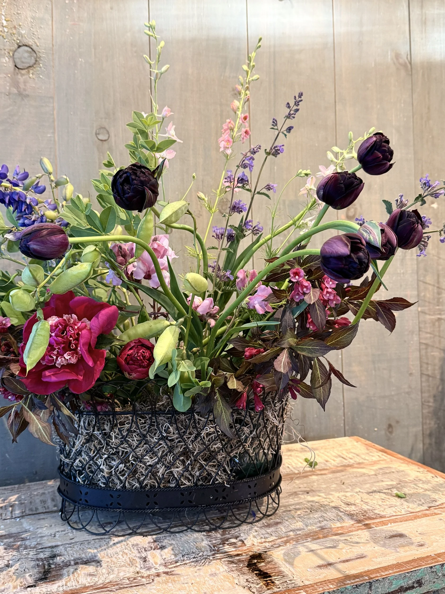 vintage iron basket with black tulips & moss.jpeg