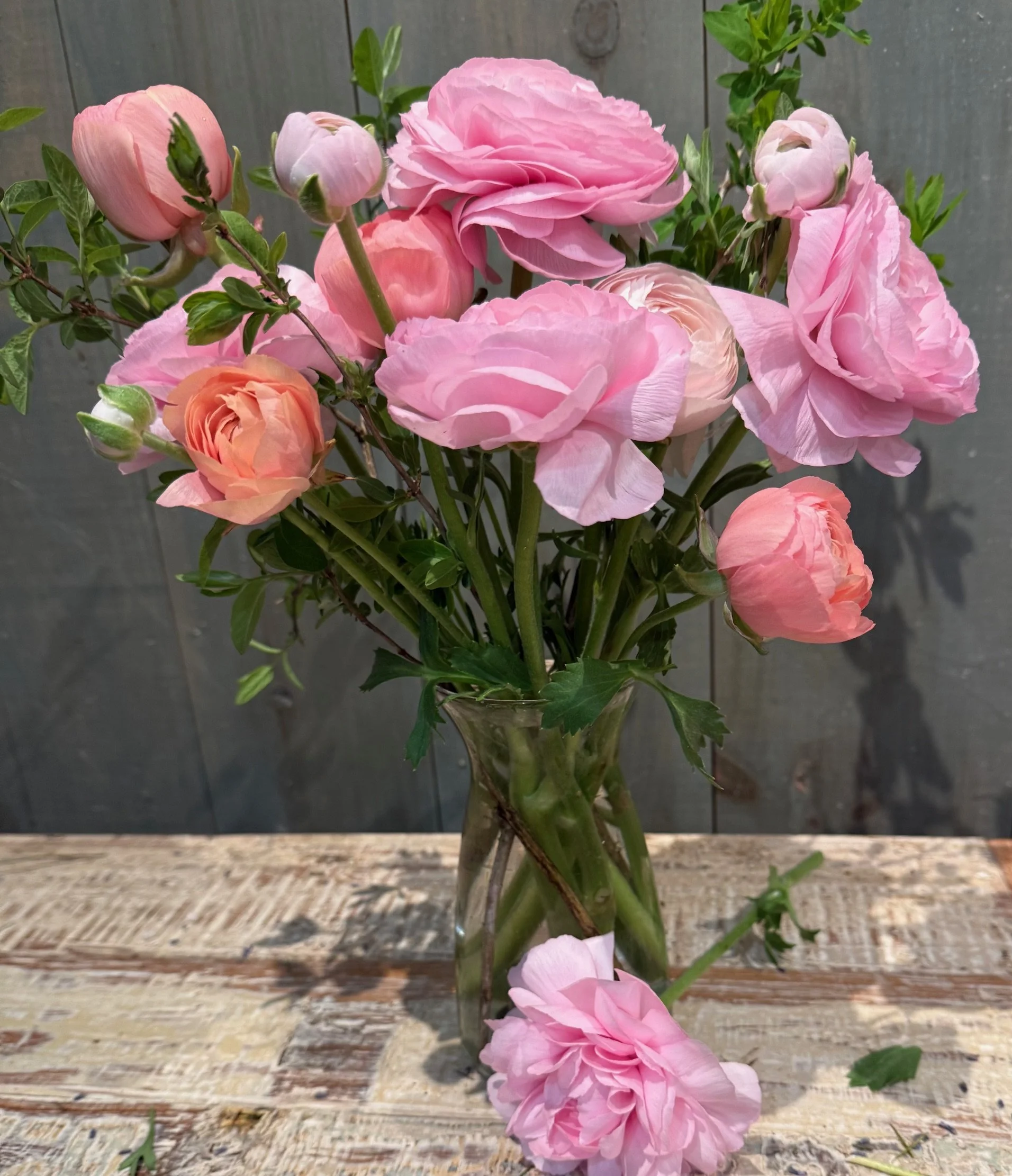 vibe vase with ranunculus.jpeg