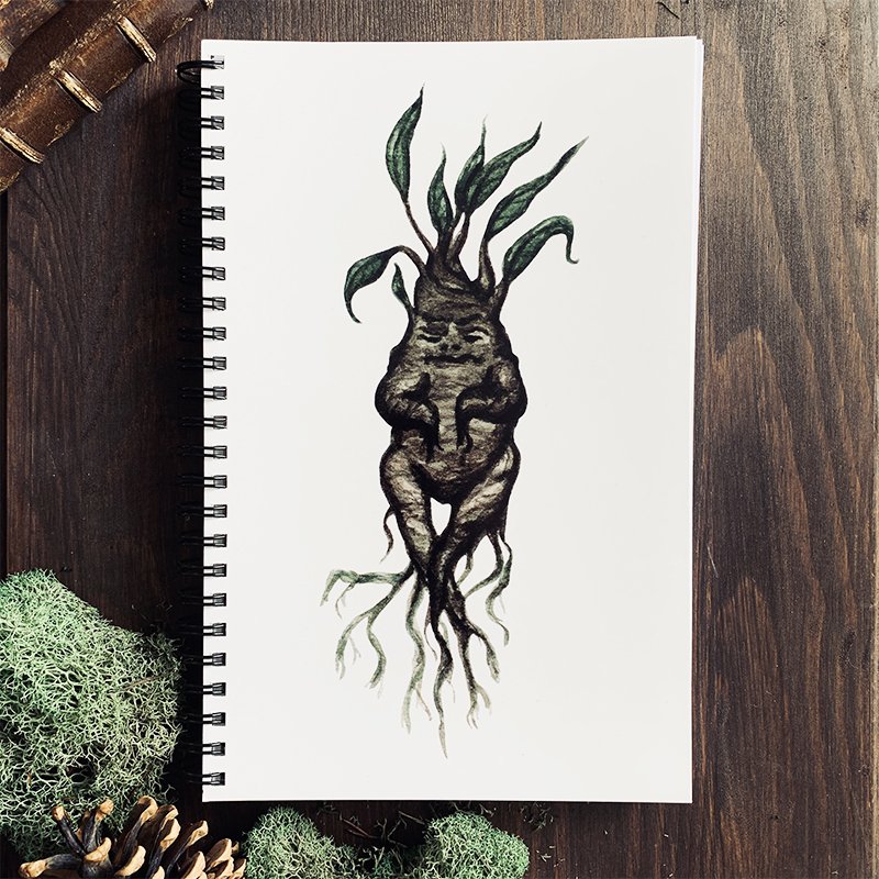 isabelle.algrin.art.shop.notebook.mandragora.1.jpg