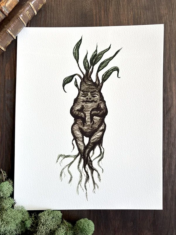 Fine Art Print 8"x10" - Mandragora