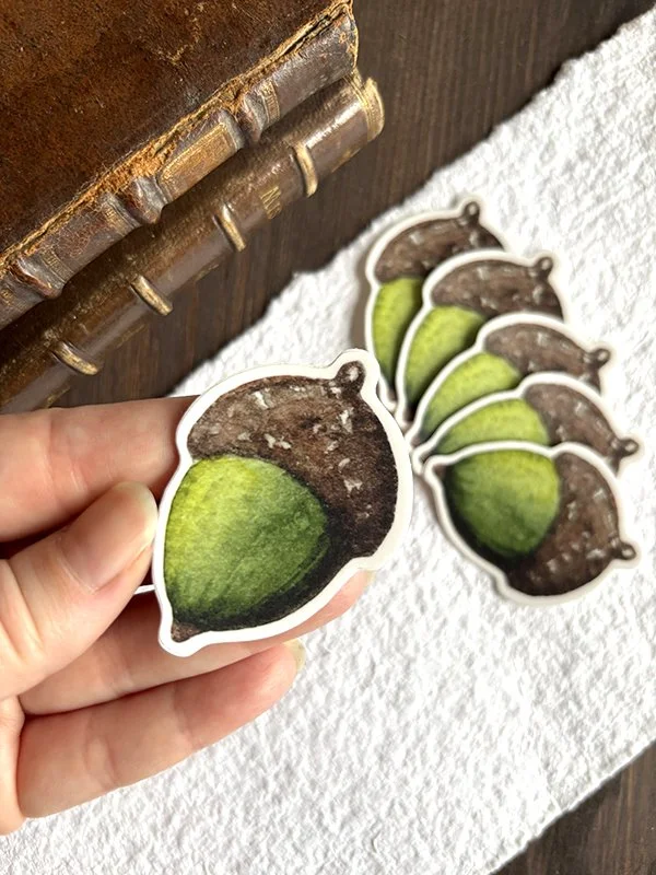 isabelle.algrin.vinylsticker.acorn.hold.jpg