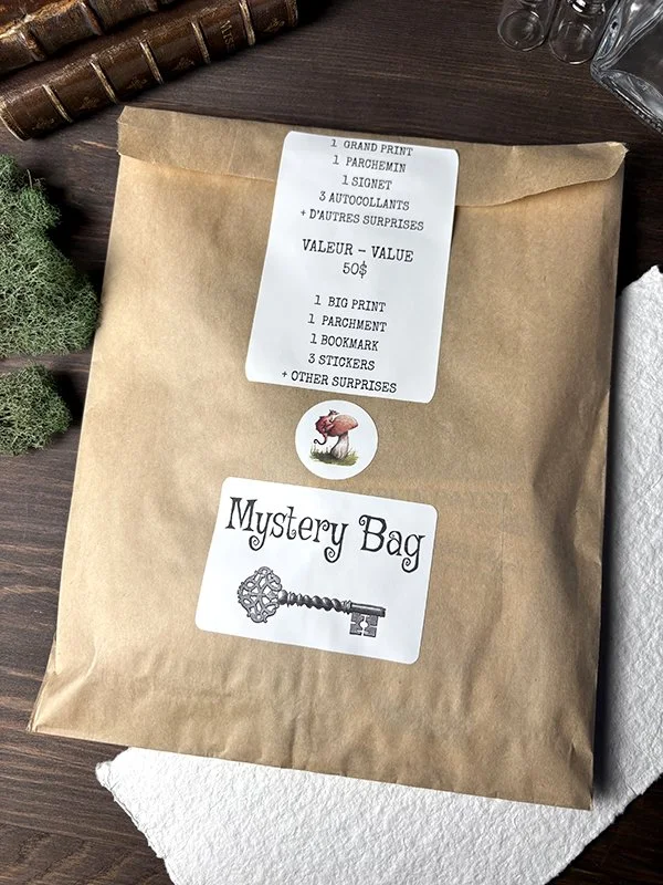 Big Mystery Bag - Grand Sac Mystère