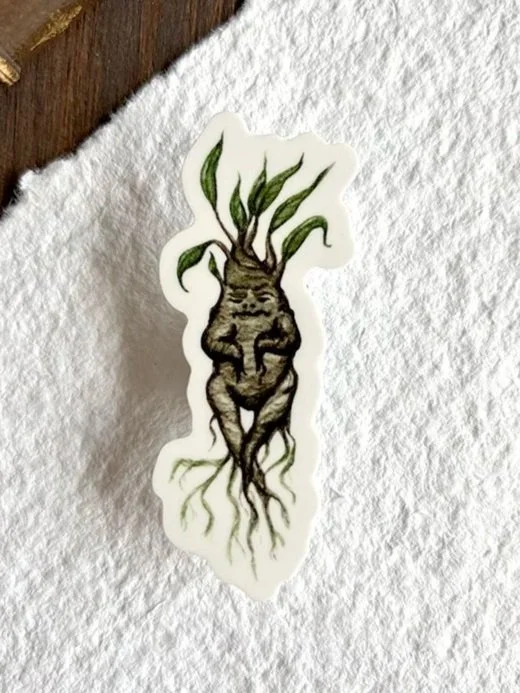 Vinyl sticker - Mandragora