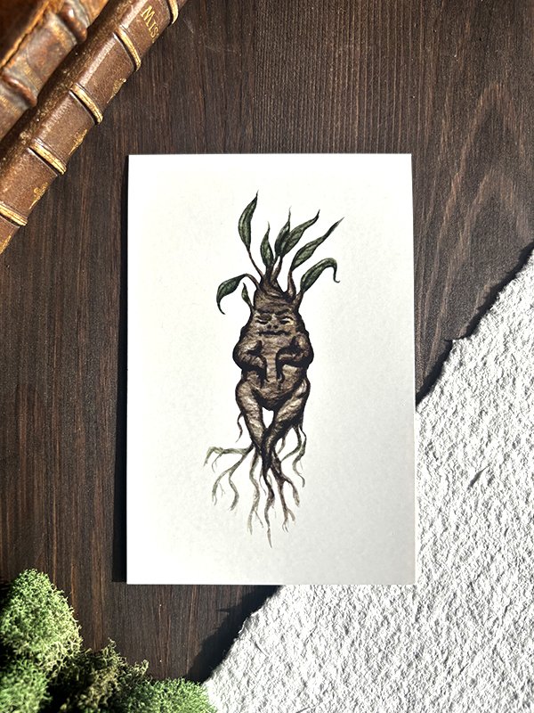 Small Art Print - Mandragora