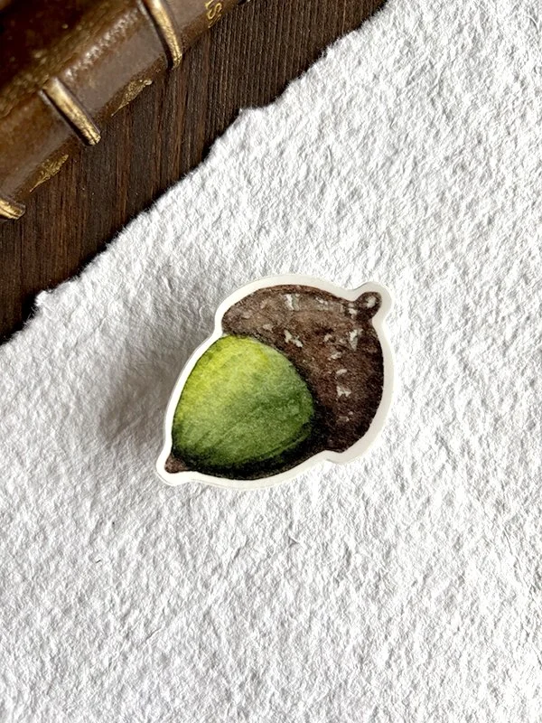 Vinyl sticker - Acorn