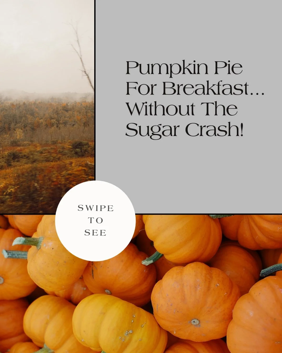 Fall flavors, functional nutrition.

This pumpkin smoothie delivers protein for muscle repair and fiber for gut health, without the sugar bomb.

Fuel your morning right.

We are a comprehensive practice that cares about total metabolic optimization, 