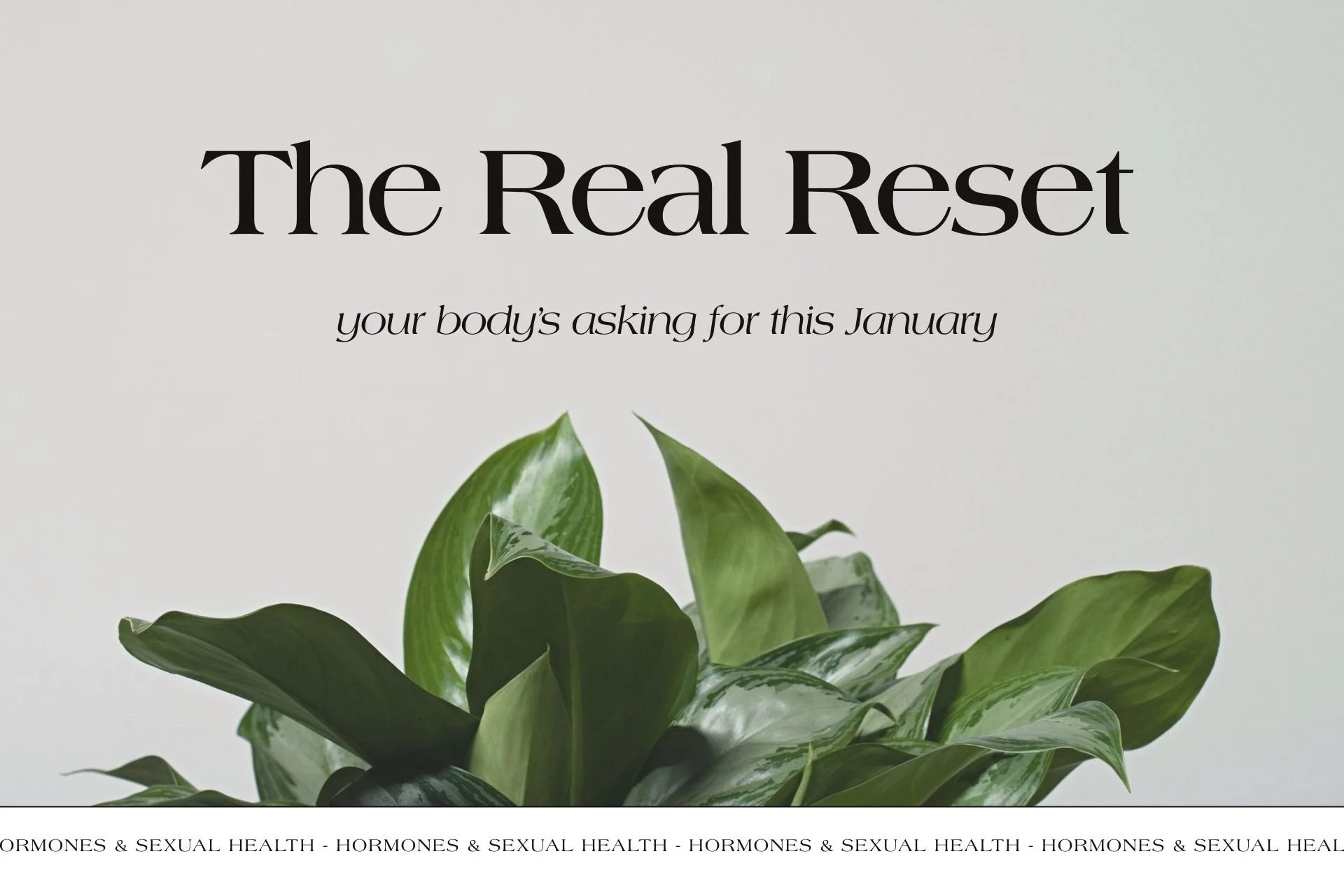 The True New Year Reset: Balancing Your Hormones After Holiday Chaos