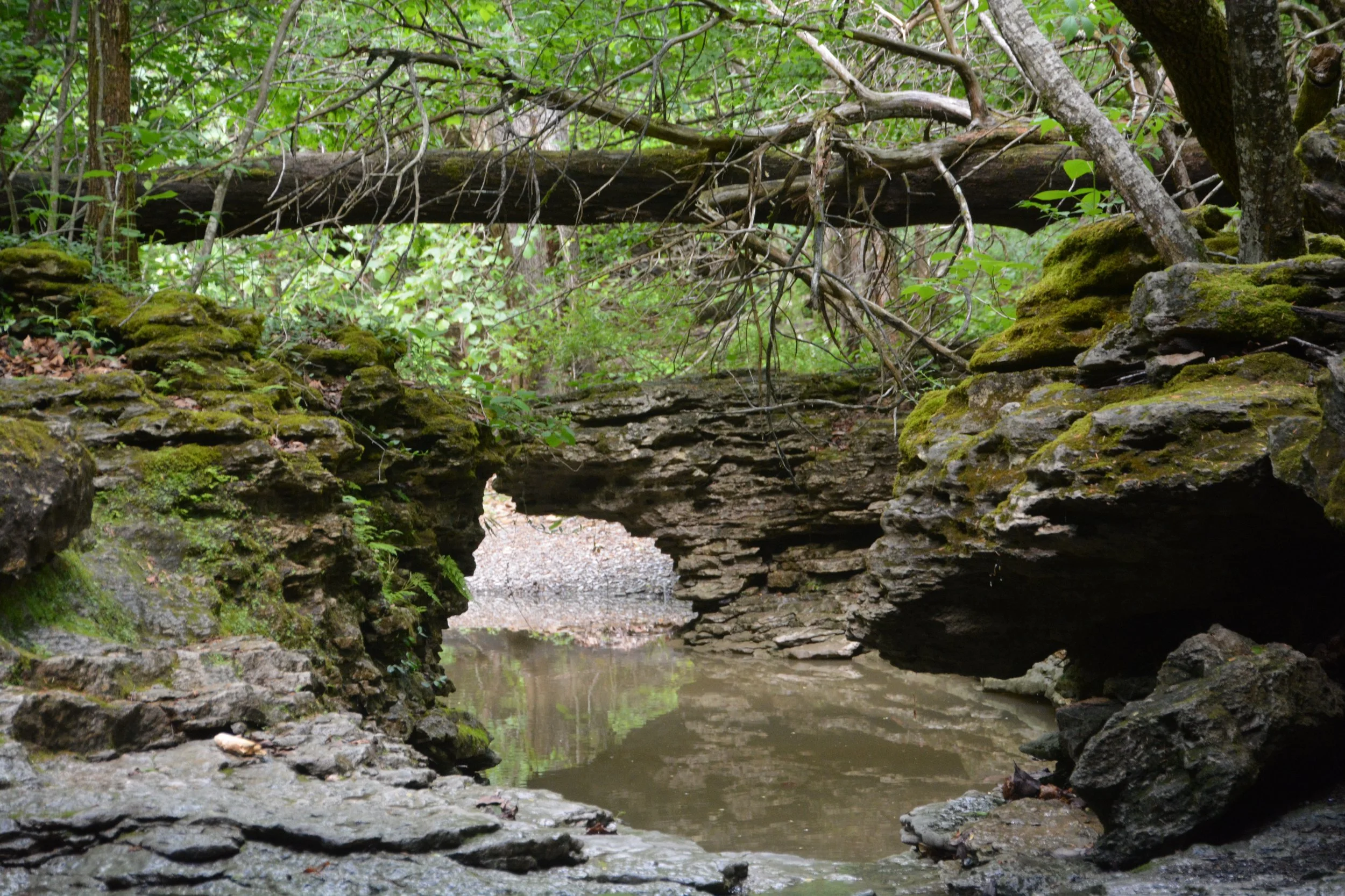 DSC_1483.JPG
