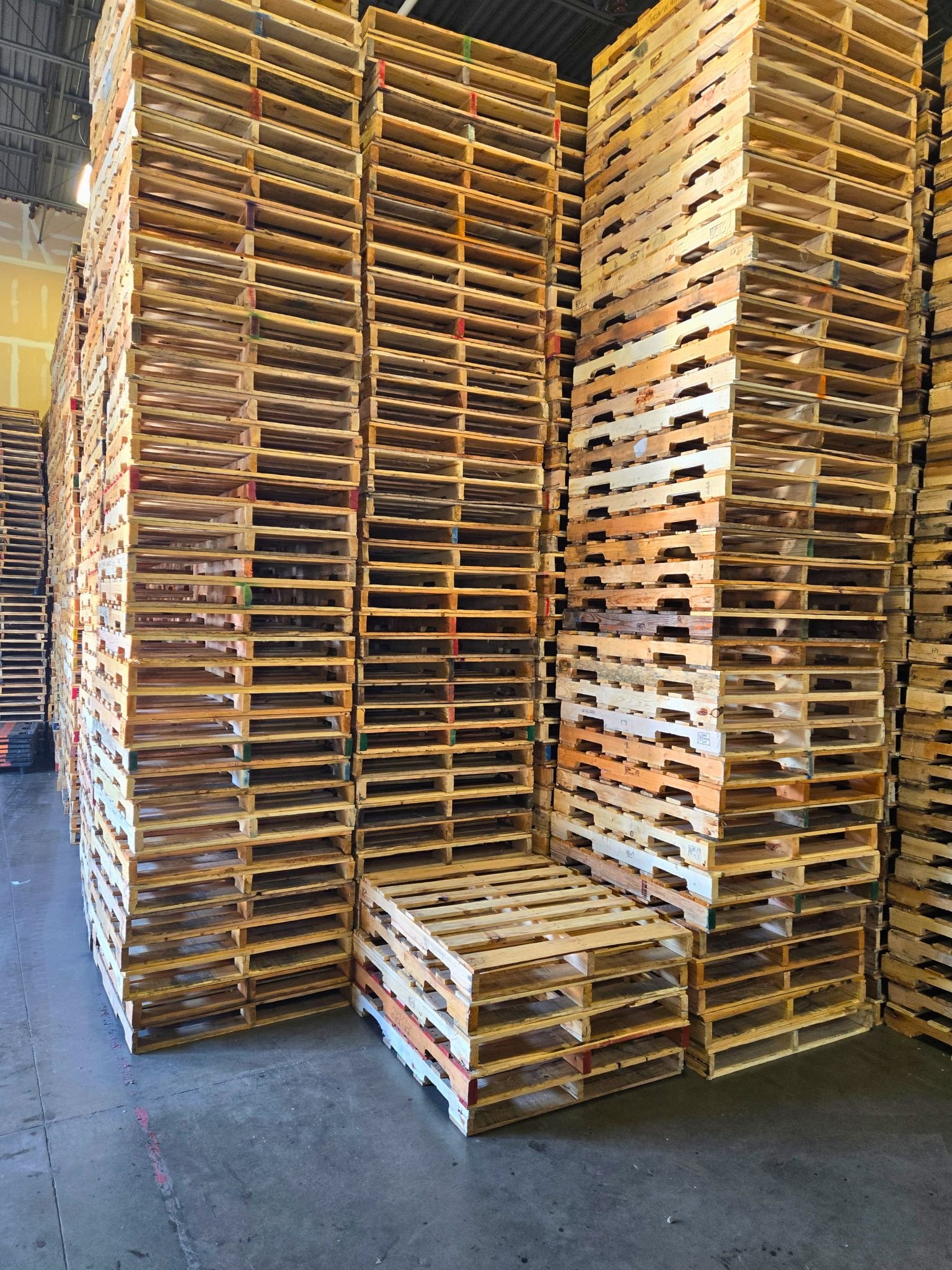 Food-Grade Pallets - Olympic Pallet Corp
