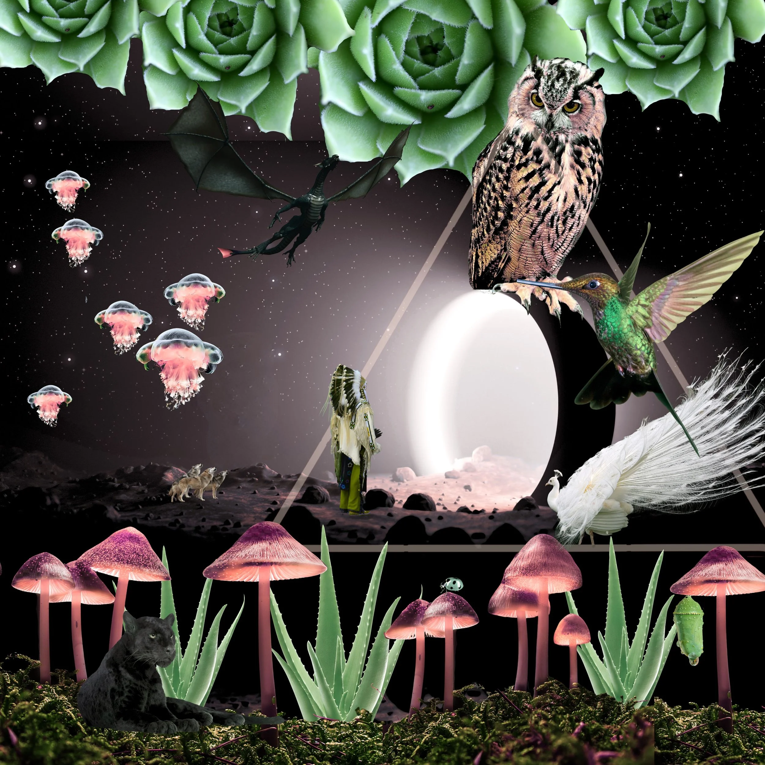 Awakening

| Limited Edition of 15, 
20× 20 in. | Museum-quality archival print | Framed |

Availability: 15 of 15 available