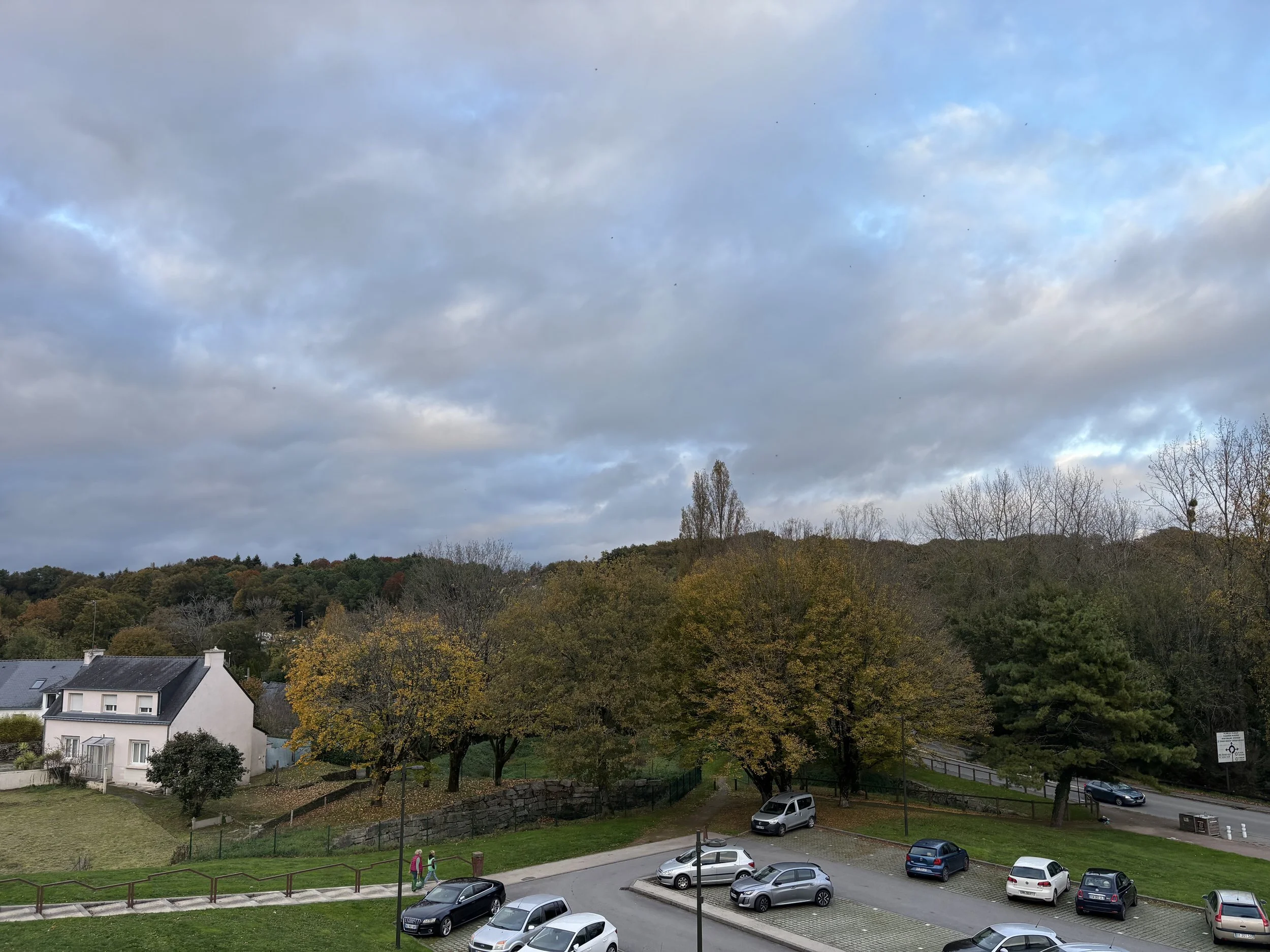 IMG_7977.jpeg
