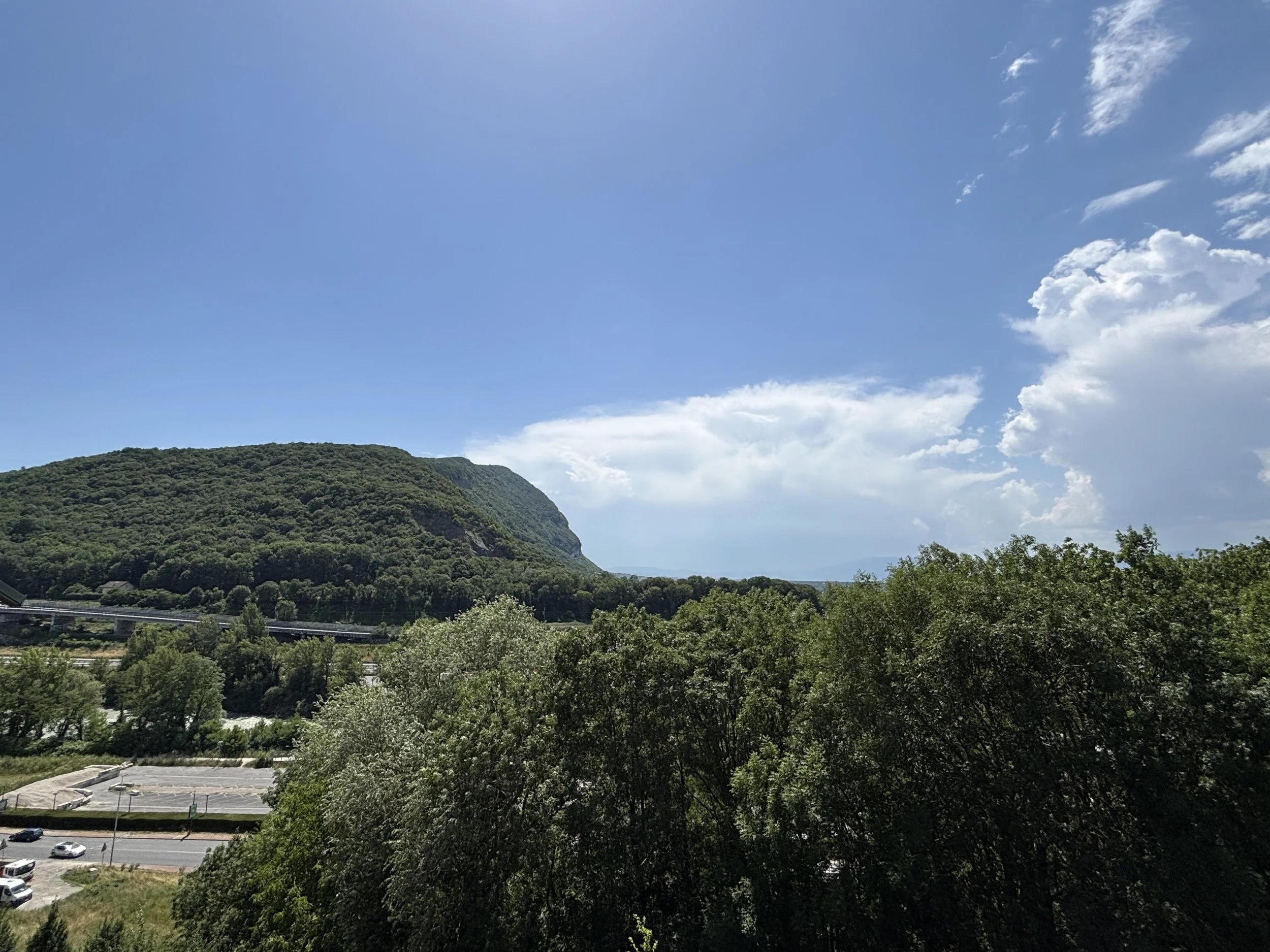 IMG_2995.jpeg