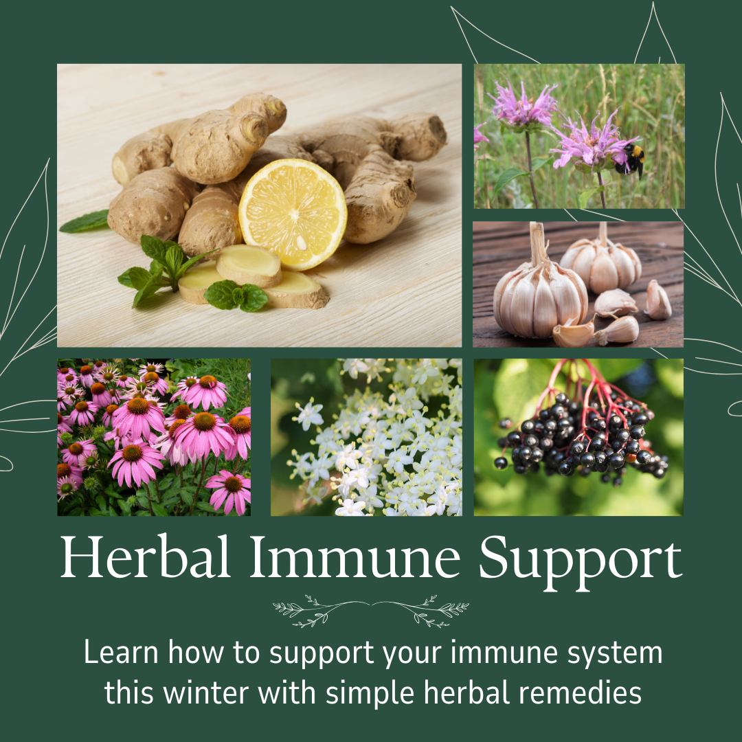 Immune Health with Sarah Slater