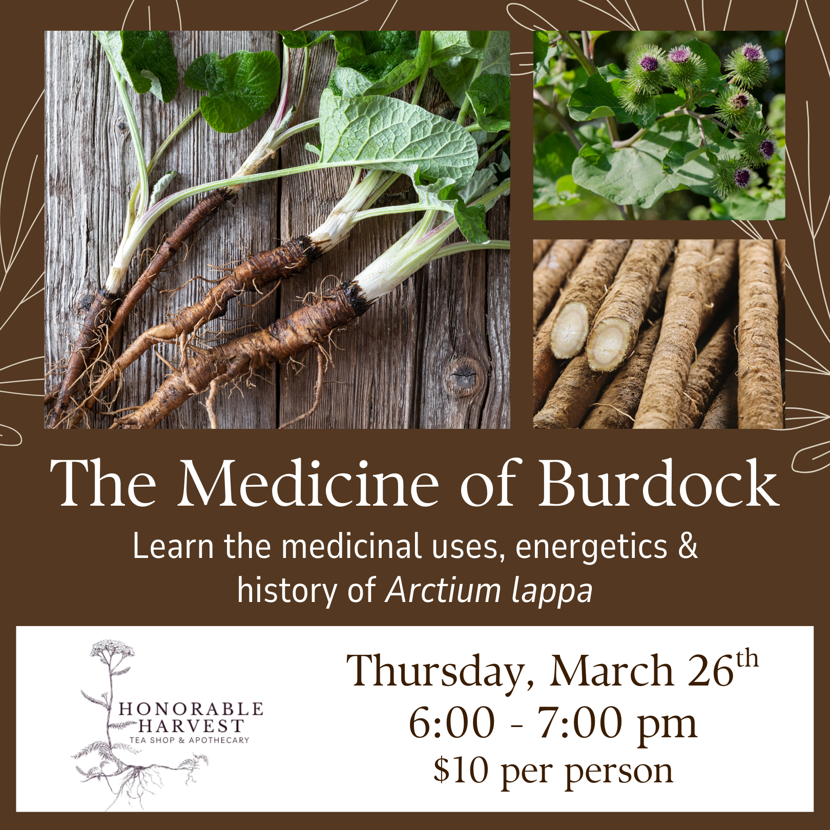 The Medicine of Burdock
