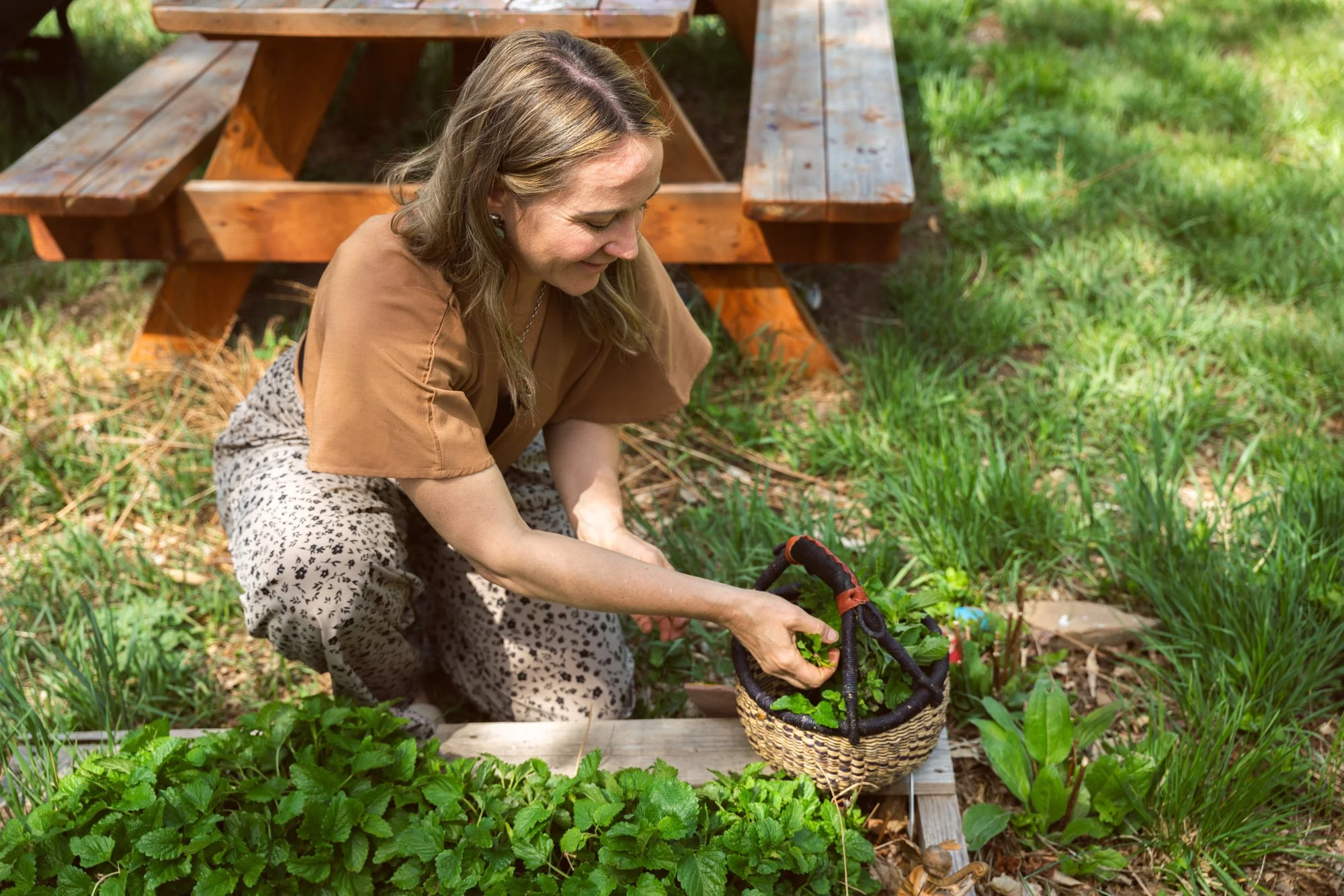 Amelia Hight sourcing and studying botanical varieties the Lyons Food Forest for Honorable Harvest’s community-centered herbal offerings