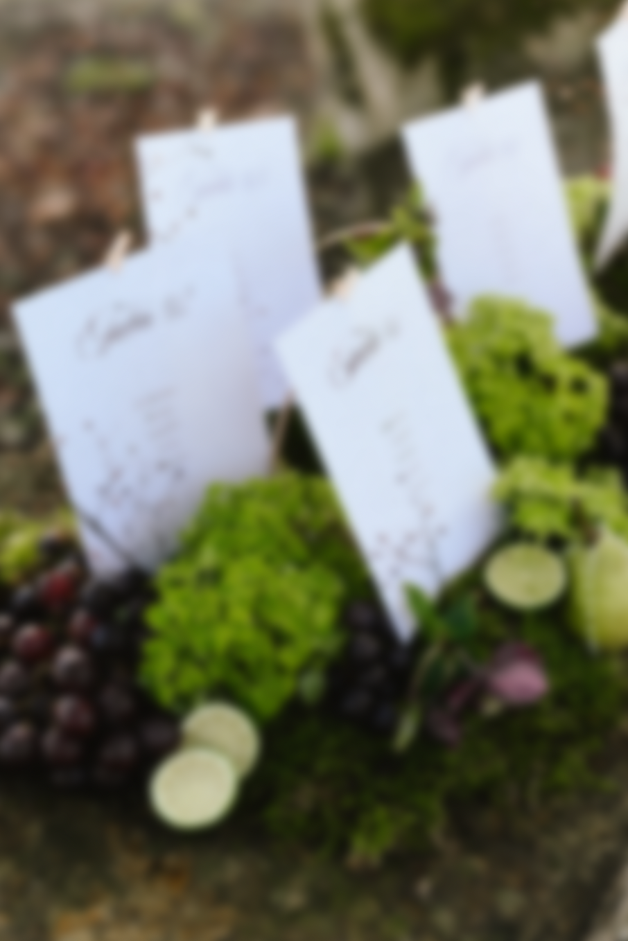 Capture d’écran 2026-04-03 à 19.02.05.png