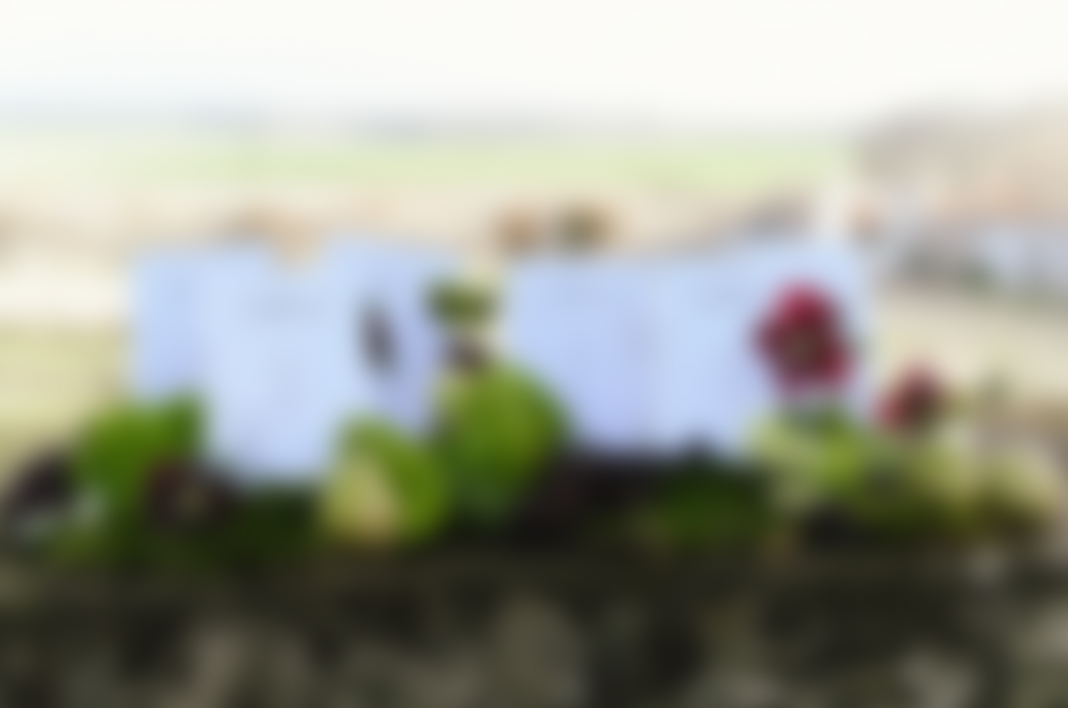 Capture d’écran 2026-04-03 à 19.29.25.png