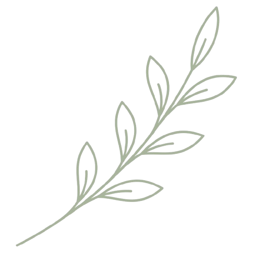 A simple, minimalist line drawing of a leafy branch with elongated leaves against a black background.