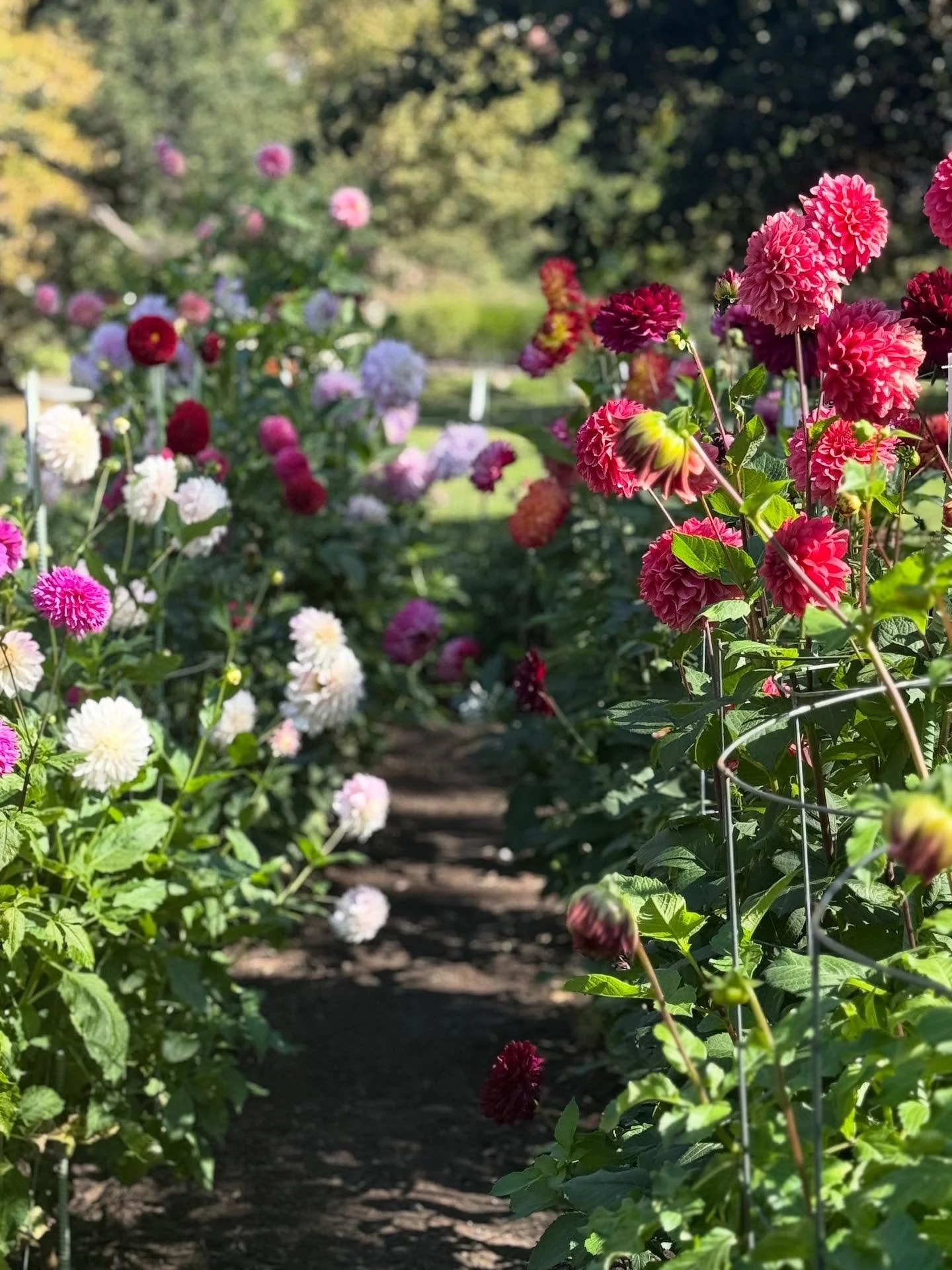 Tell me you&rsquo;re of a certain age without telling me you&rsquo;re of a certain age&hellip;. Trying to out-Nigel Nigel.