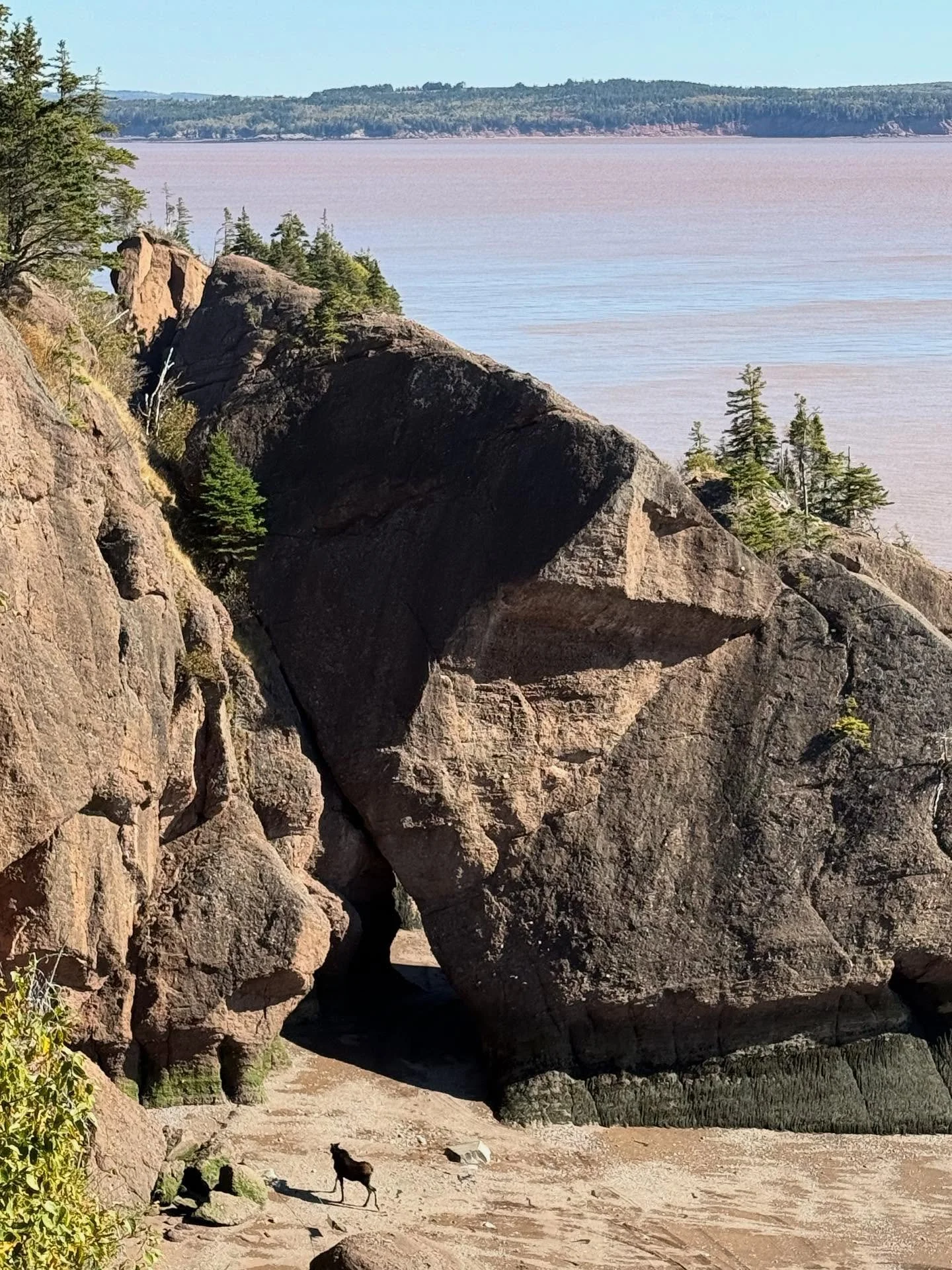 Hopewell Rocks (on so many different levels)&hellip; first pic features #elliotmoose (on the loose)&hellip; rest is a rocky photo dump from #hopewellrocksprovincialpark . Absolutely incredible place to visit with postcard-perfect scenery