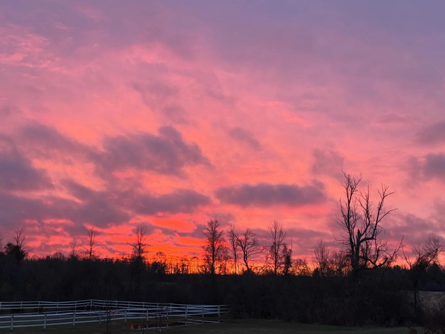 We&rsquo;re paying for the red sky in the morning (sailor&rsquo;s warning) with icy wind and horizontal rain. Bring it on April.