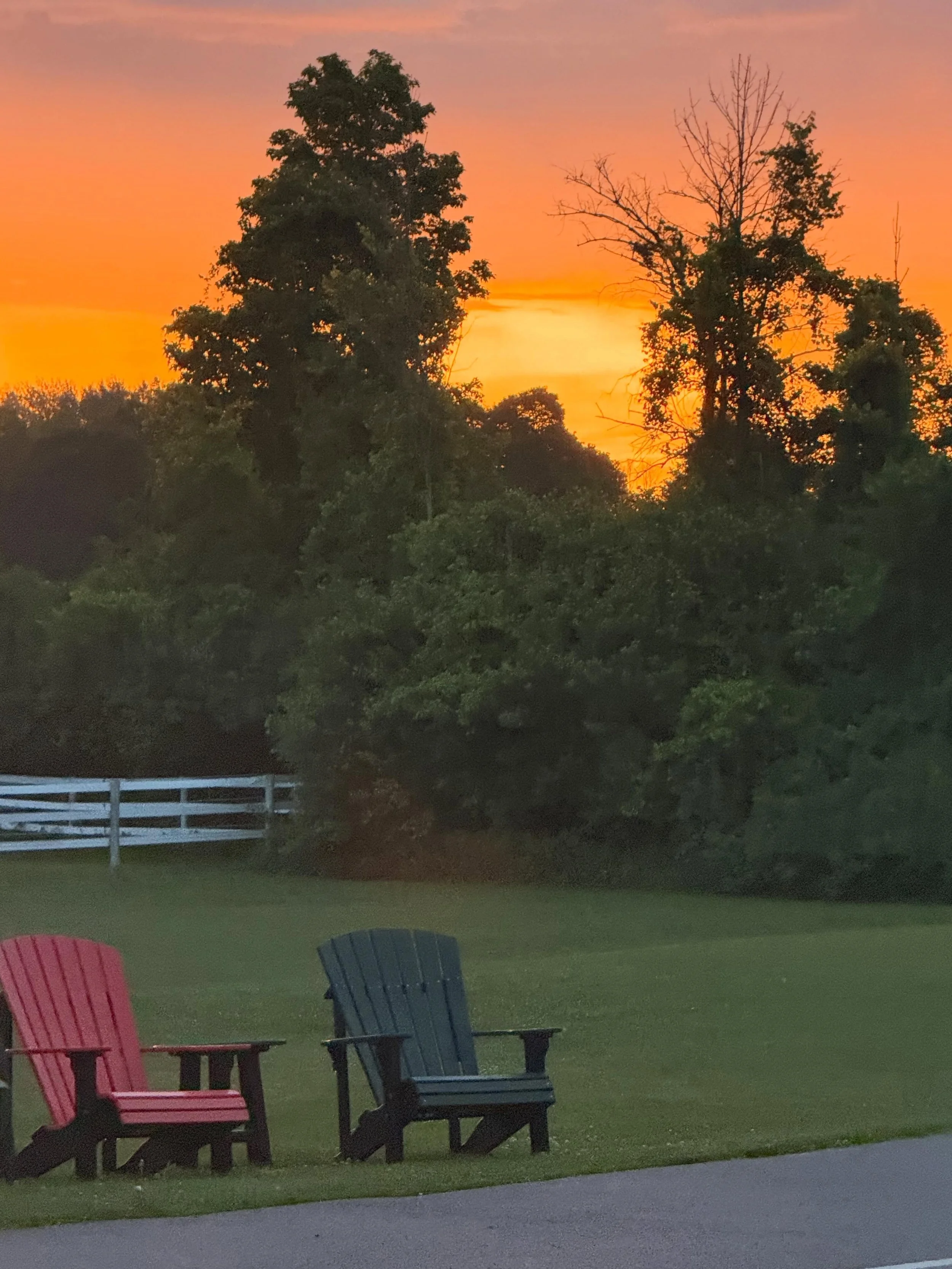 Without going into all the tiresome negatives inherent in insomnia, the early morning positives are pretty spectacular. #sunrise #turtles