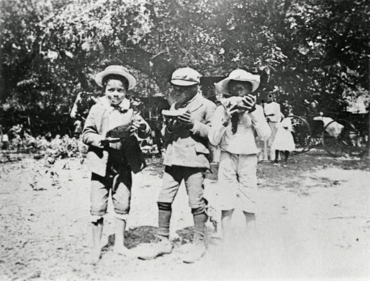 Celebrating Juneteenth: What Freedom Means for Black Herbalism