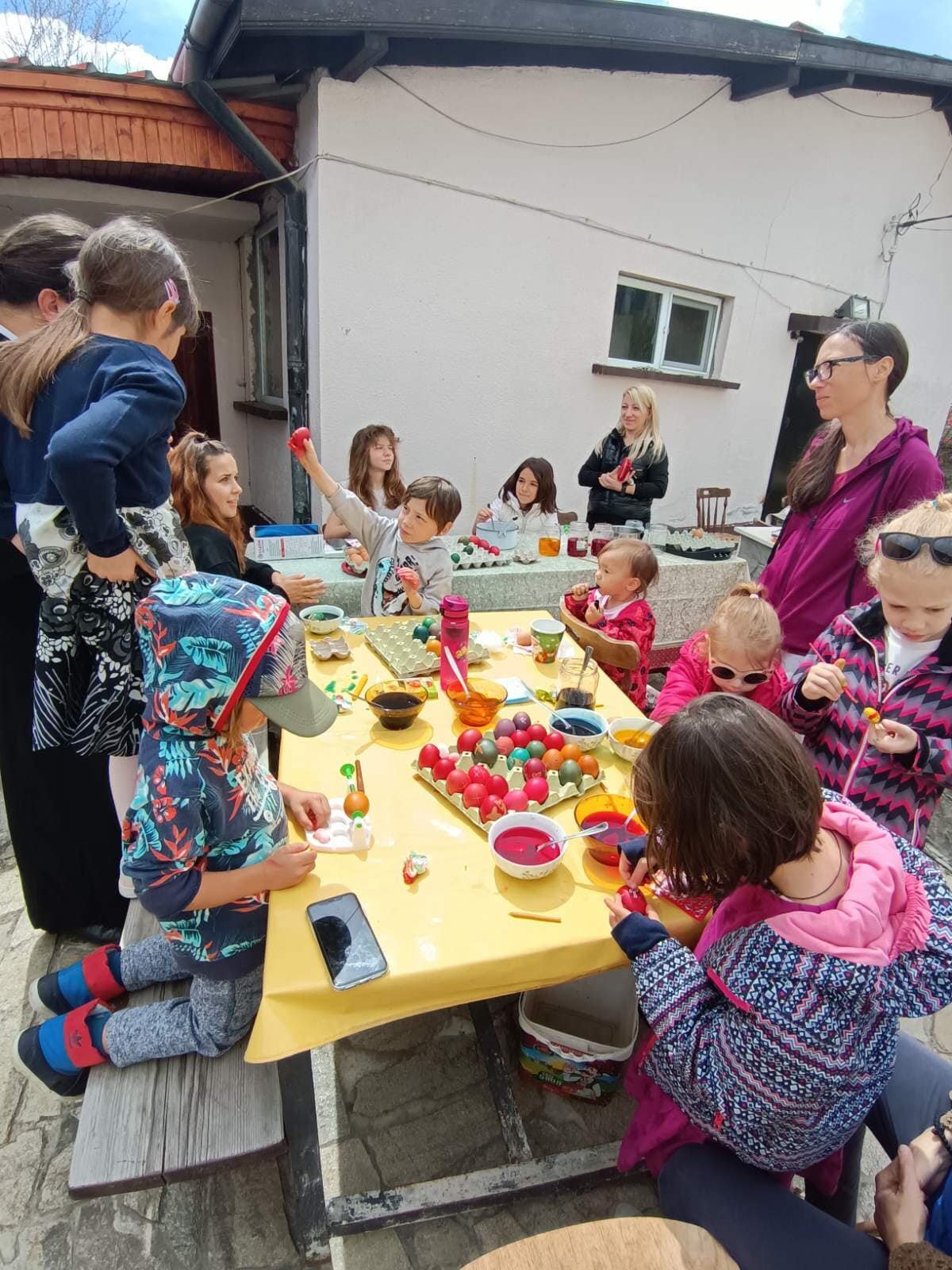 Boiadisvanenaiaica (1).jpg