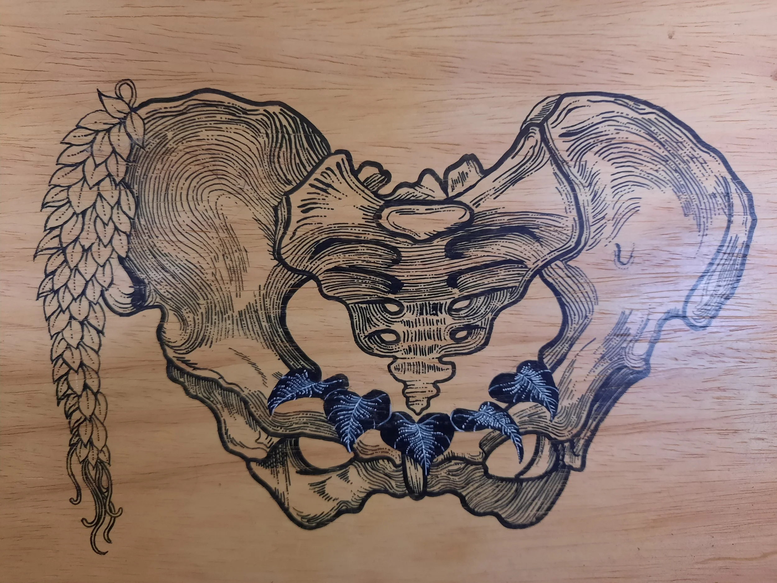 Sacrum