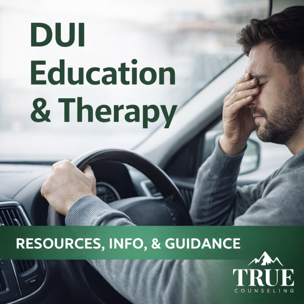 DUI Education &amp; Therapy