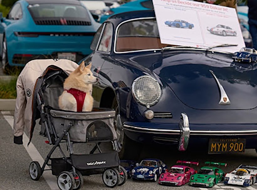 PCA x SPCA Fundraiser