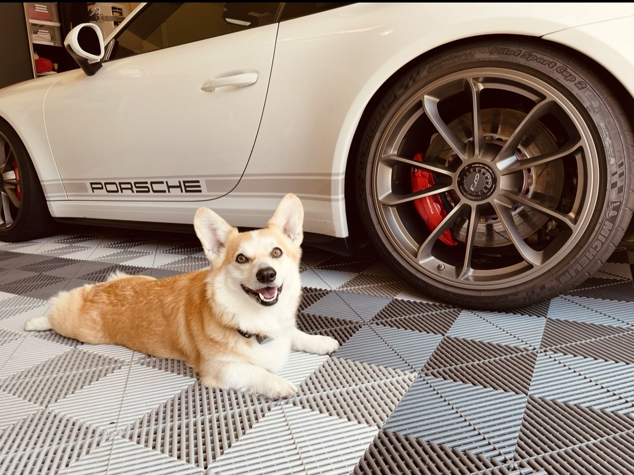 Meet Oliver!  The happiest corgi and he brings smiles to everyone he meets. He loves anything food related (naturally as a corgi) and loves to play fetch with his favorite toys. He has learned that posing for a photo equates to a treat so he’s really