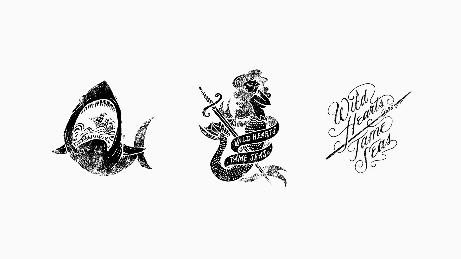Sperry Illustration.jpg