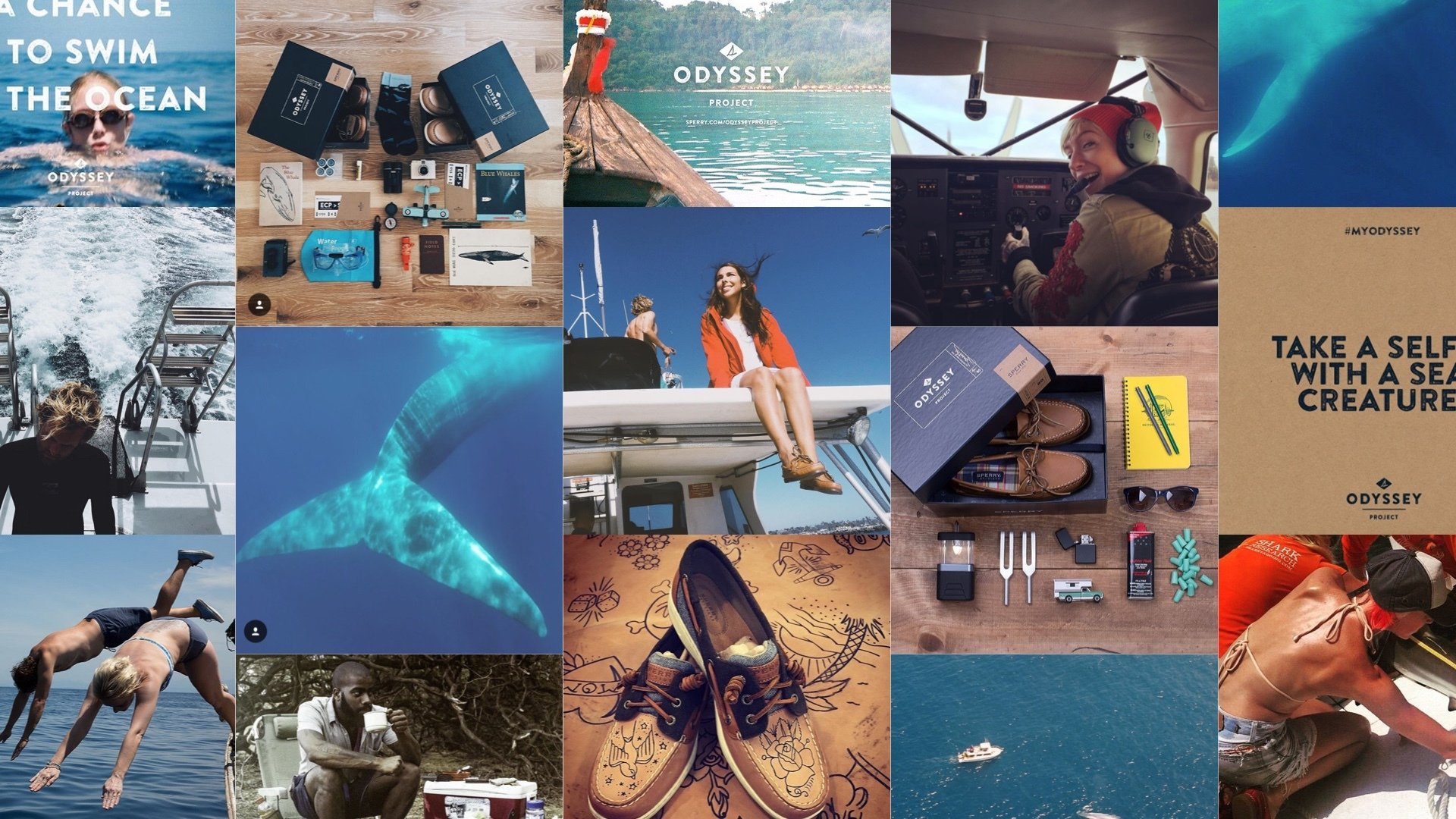 Odyssey. Collage.jpg
