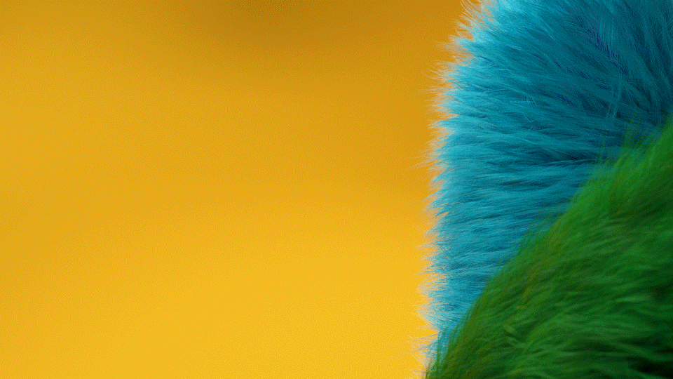 3_Project Fi_Furball_Medium.gif