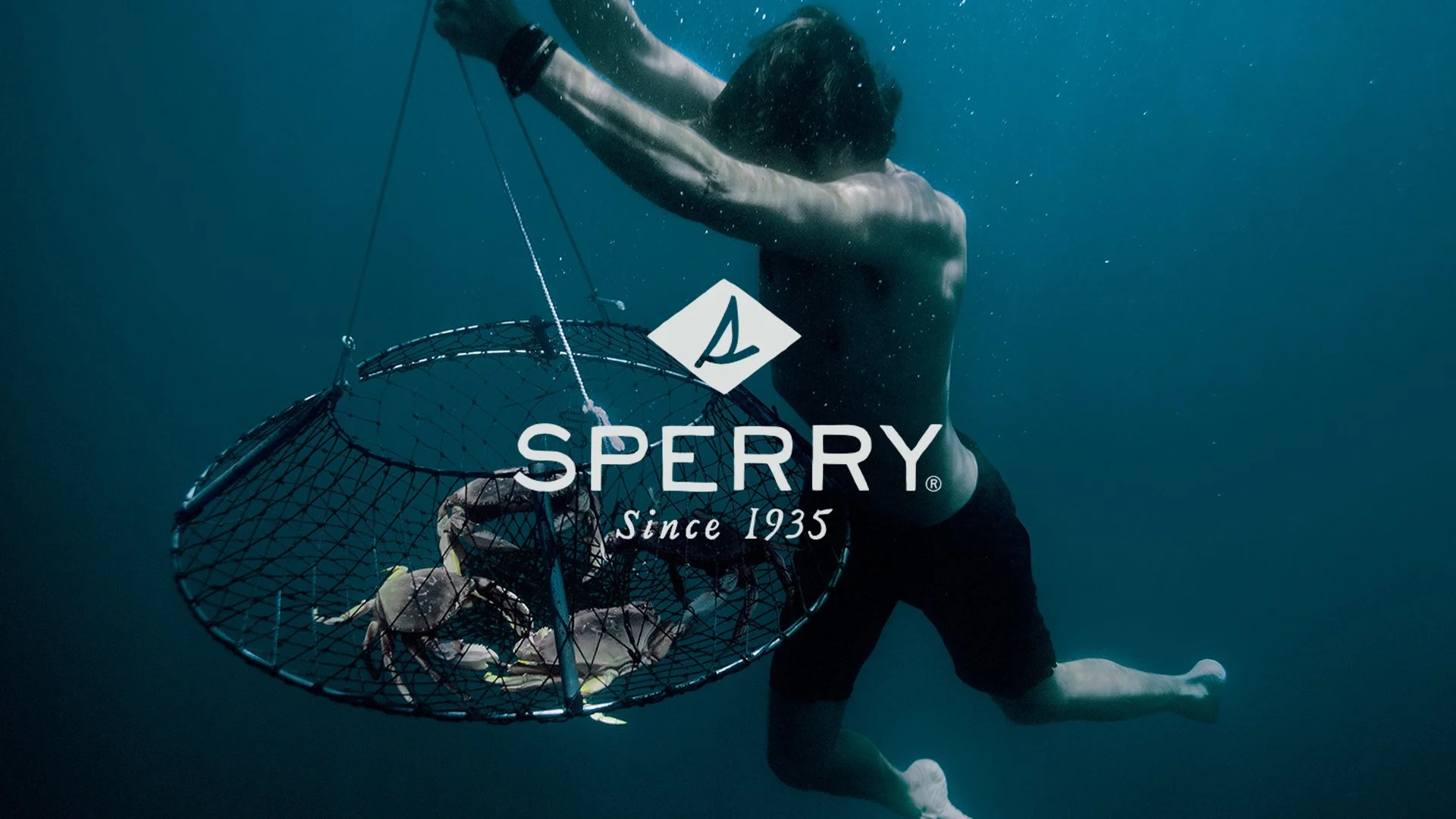 Sperry Hero Logo.jpg